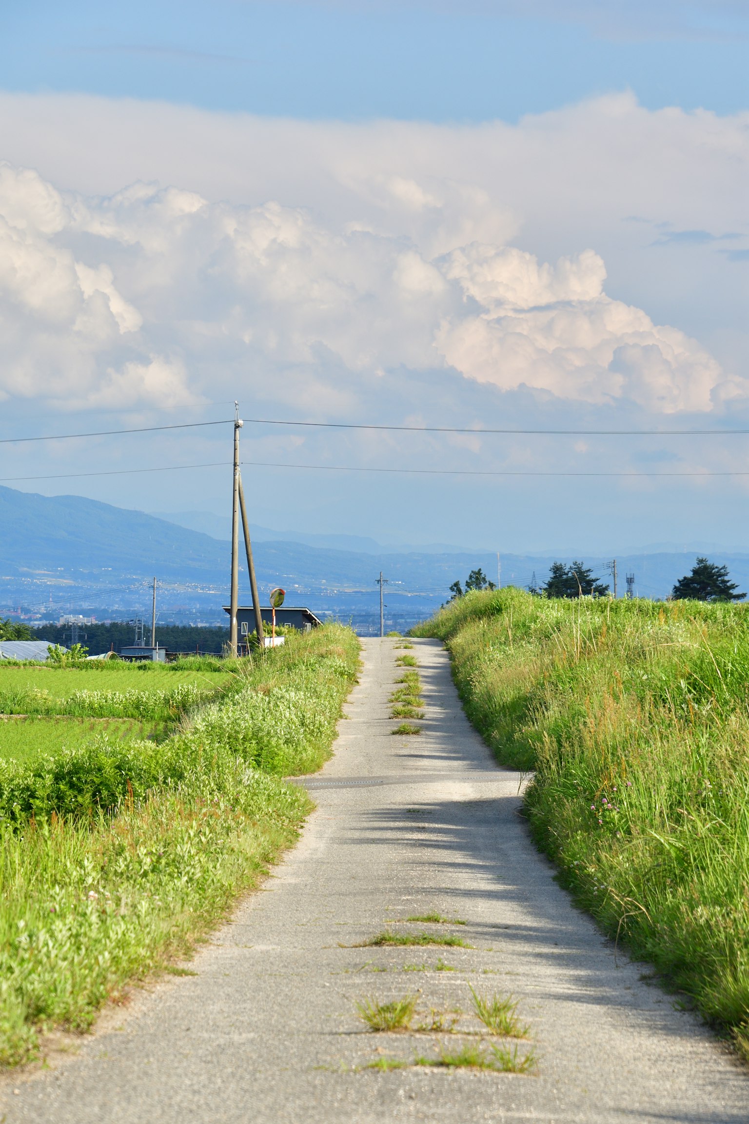 Ländlicher Weg unter einem blauen Himmel mit Wolken
