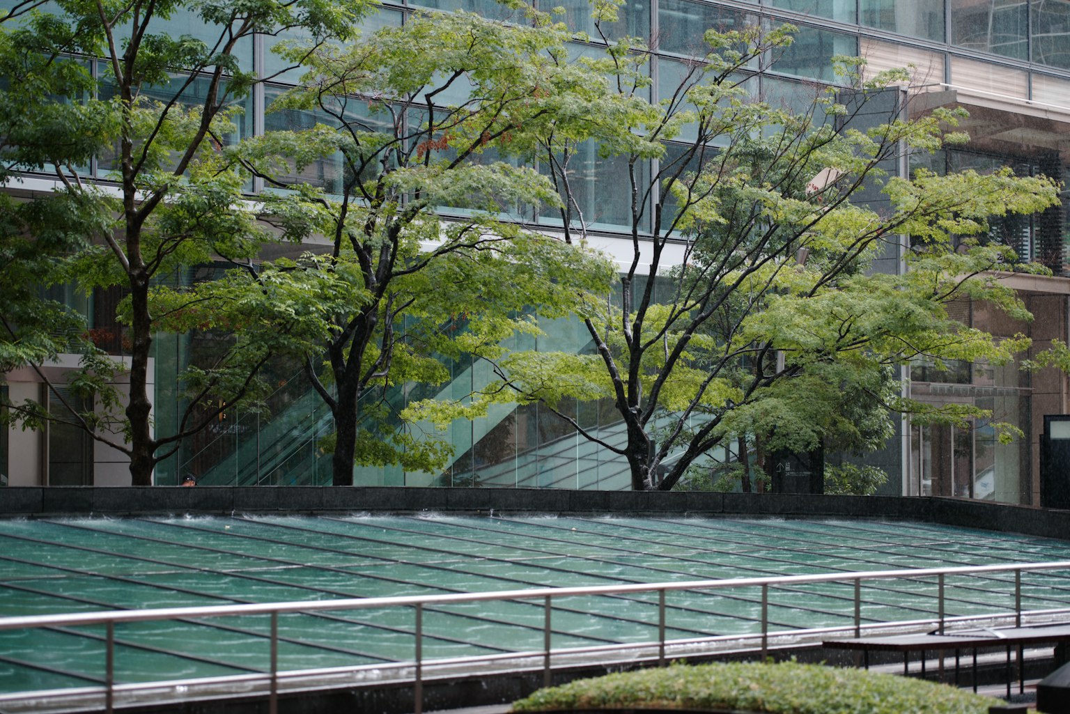 Lush green trees in front of a modern building with water features