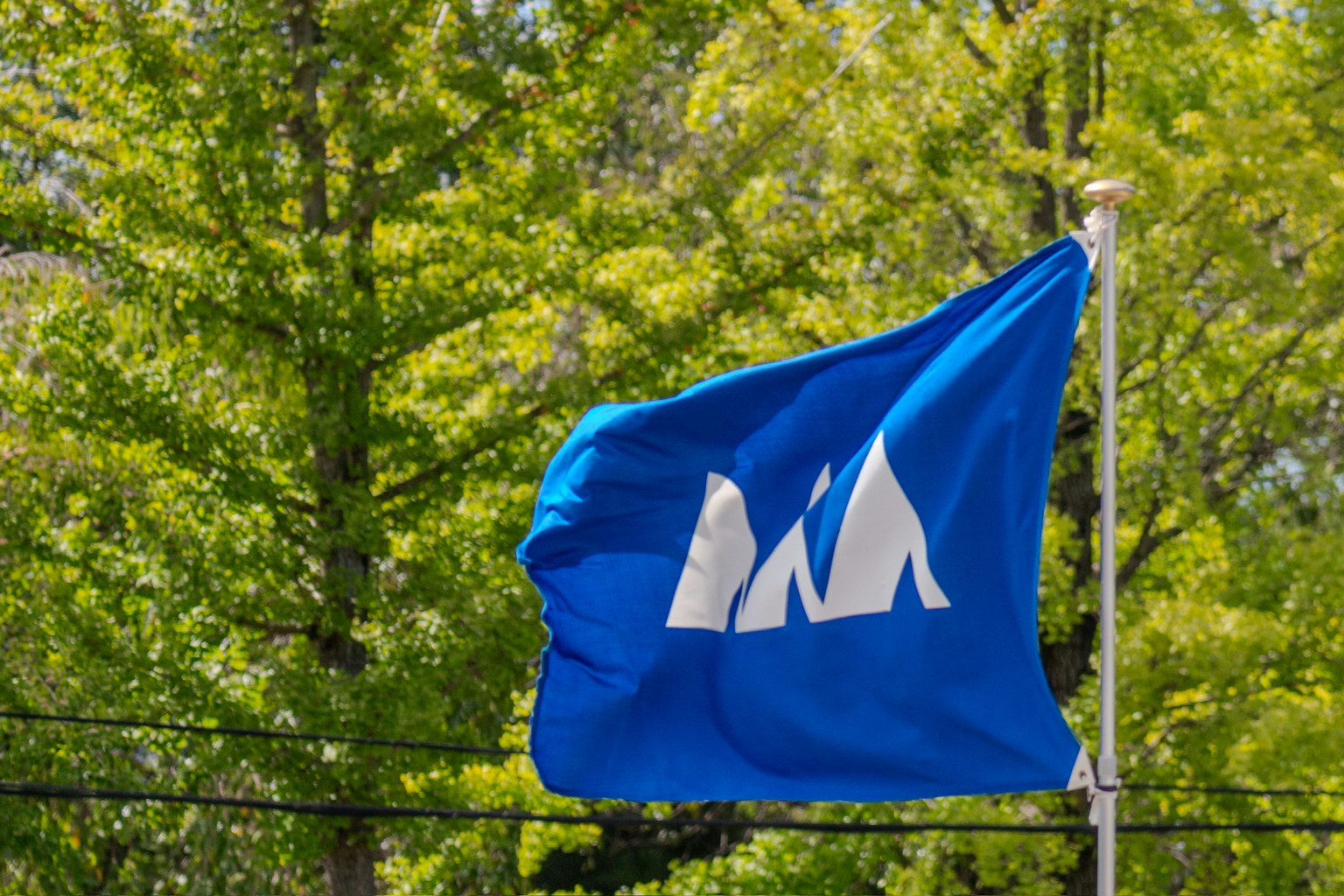 Eine blaue Flagge mit weißen Bergsymbolen vor einem Hintergrund aus grünen Bäumen