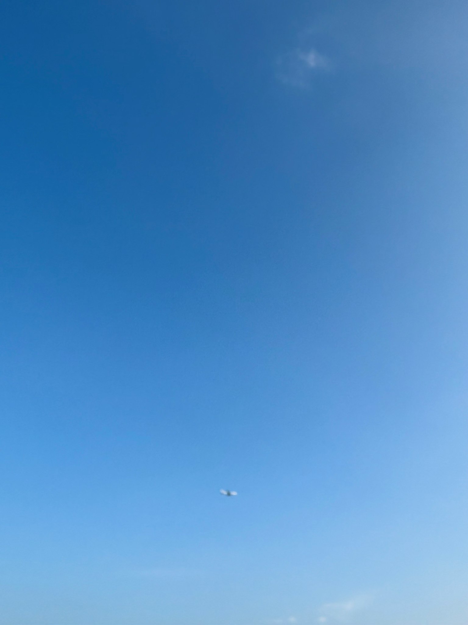 Ein kleines Flugzeug fliegt in einem klaren blauen Himmel