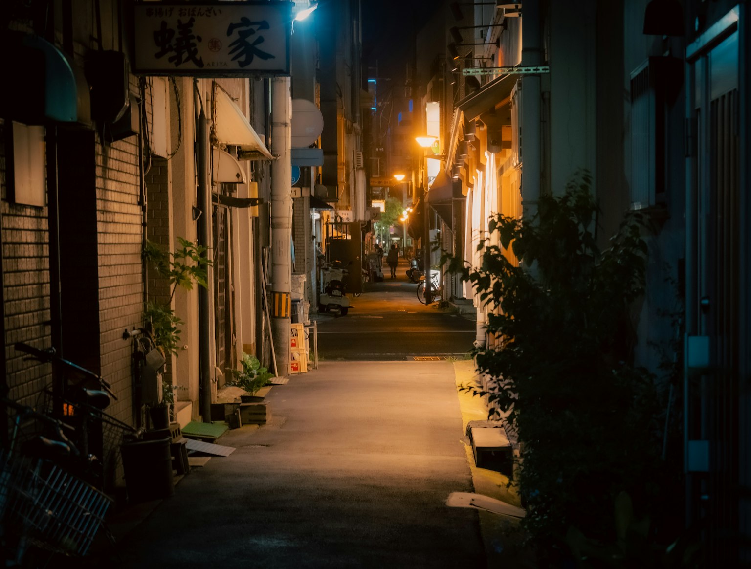 Allée tranquille avec des lampadaires éclairant le chemin sombre
