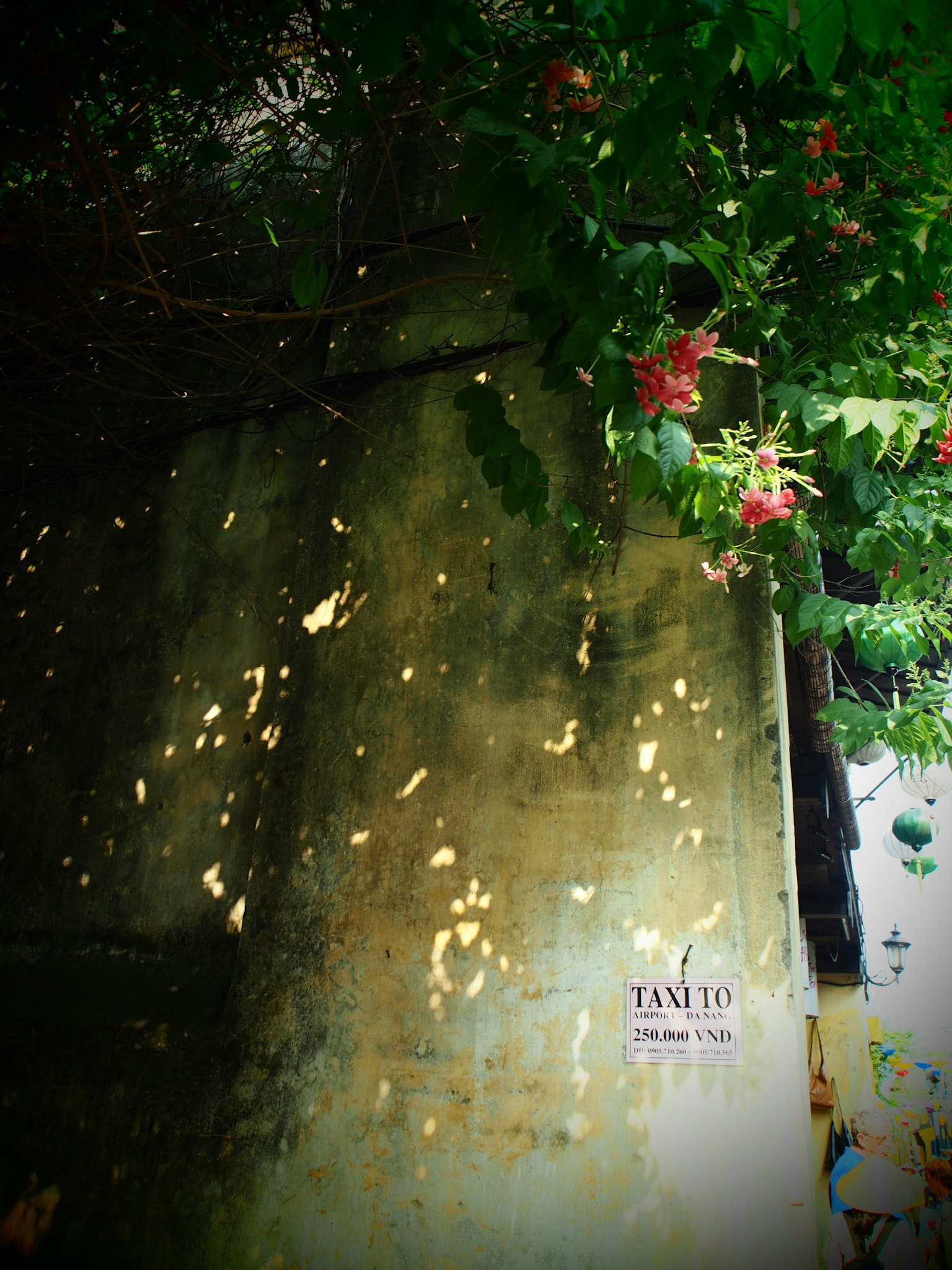 Foto di un muro adornato di vegetazione e fiori