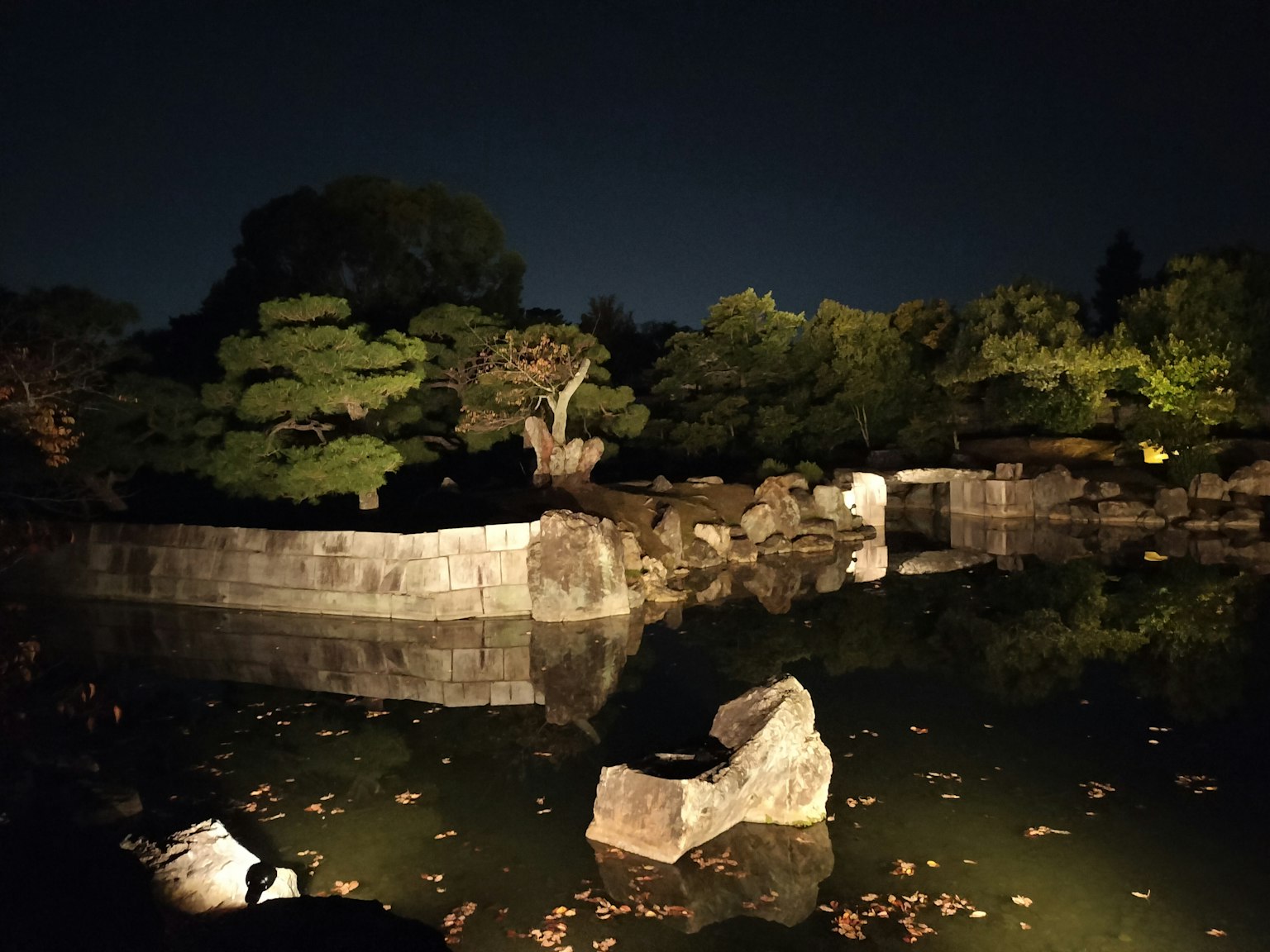 Vue nocturne d'un étang avec des pierres illuminées entourées de verdure et de feuilles d'automne