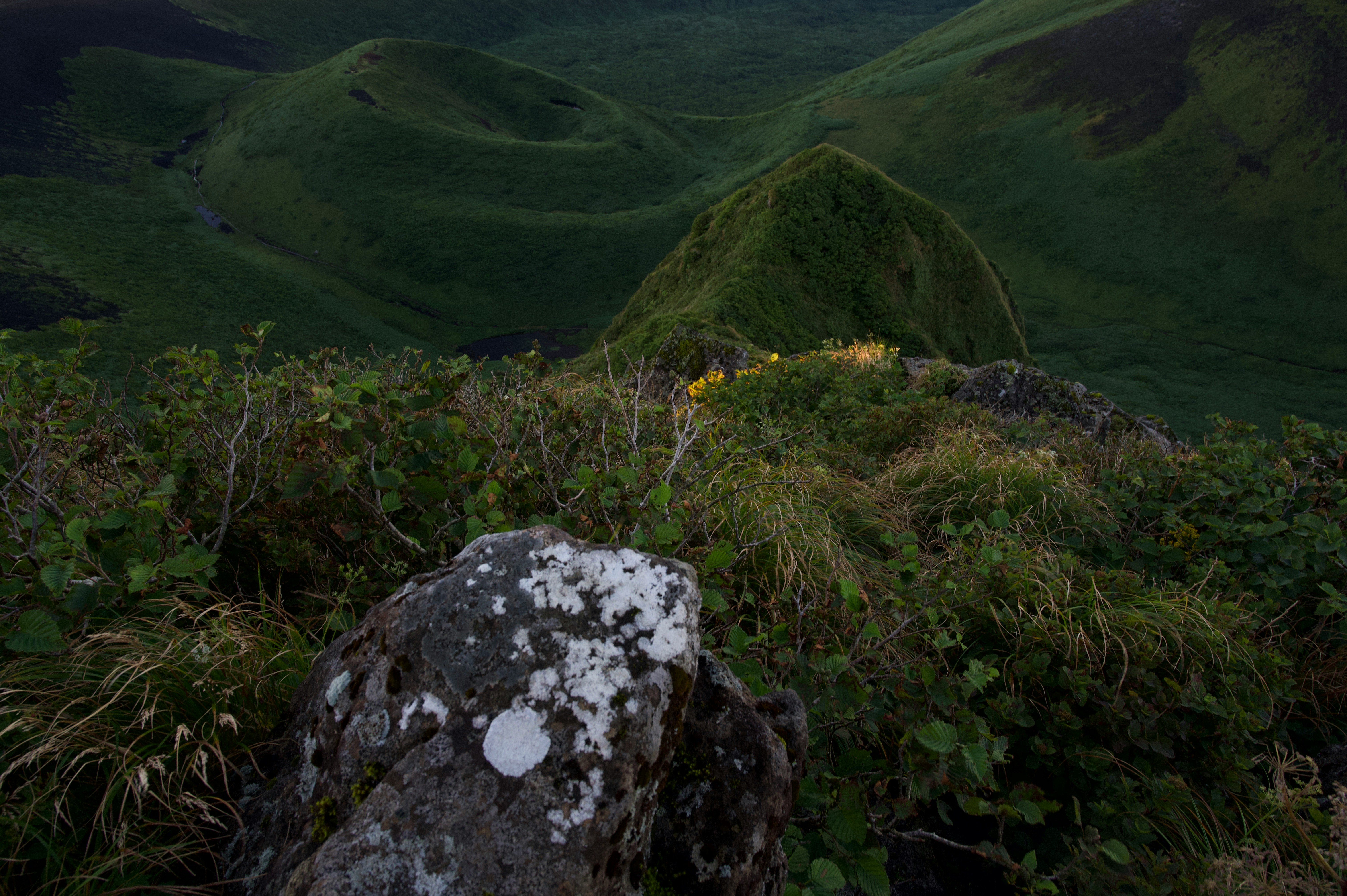 paisaje de sendero de montaña con colinas cubiertas de hierba y una roca