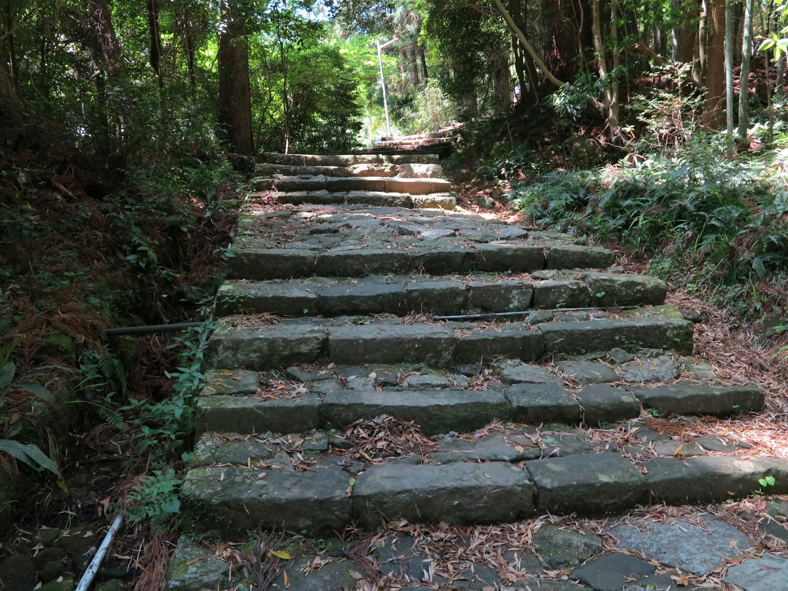 Tangga batu yang mengarah ke jalur hutan
