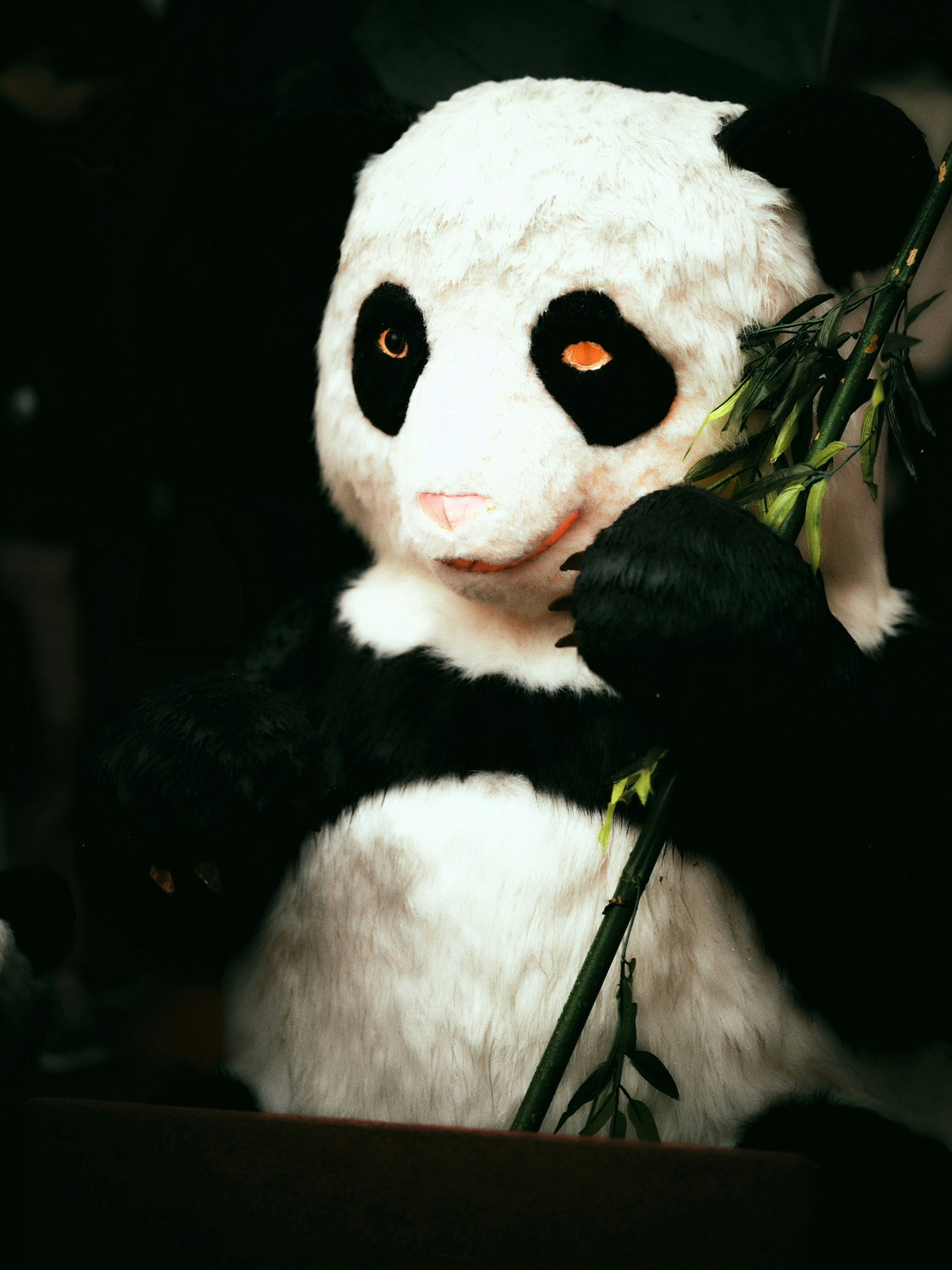 Plüschpanda hält Bambus