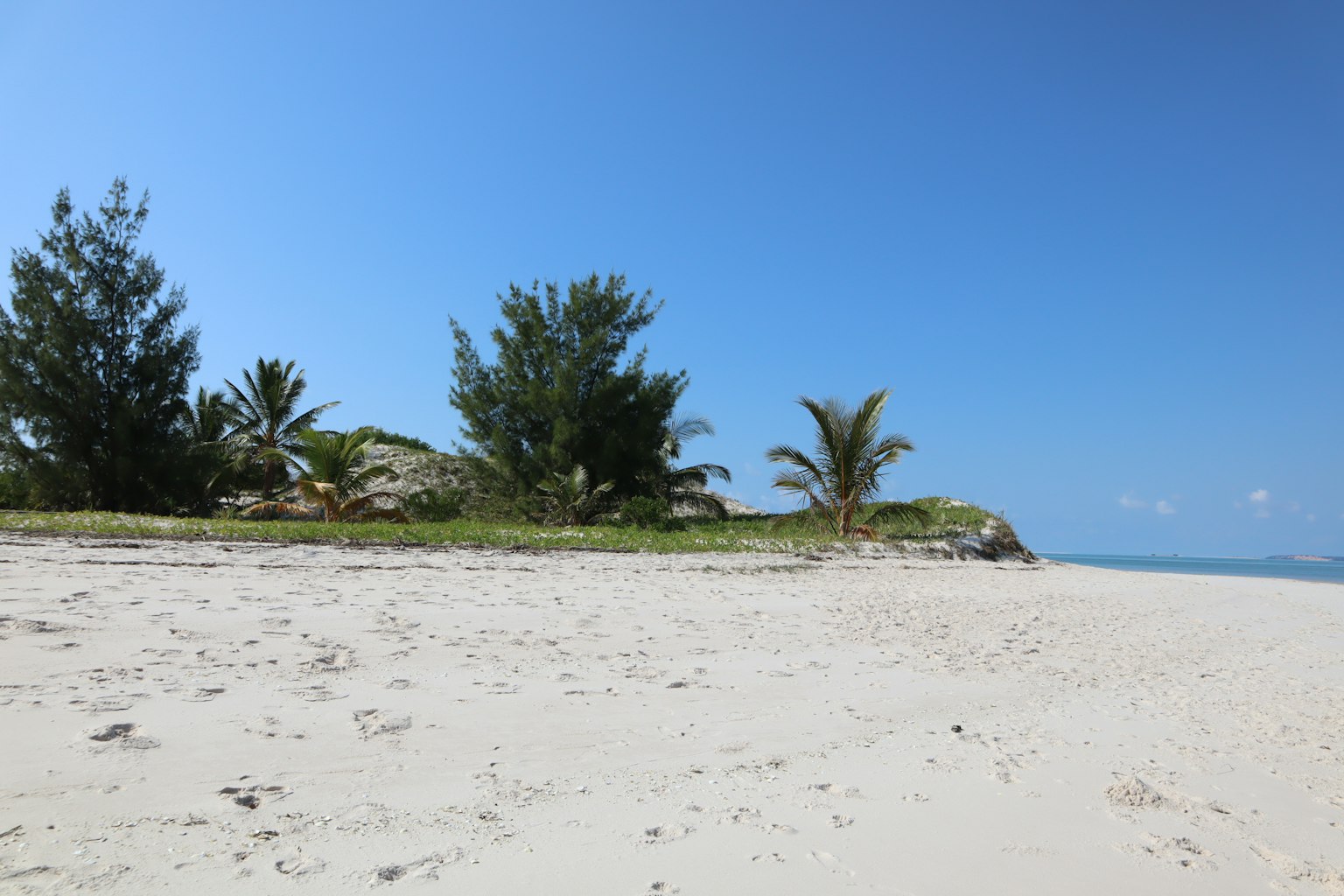 Eine Strandlandschaft mit blauem Himmel und weißem Sandstrand mit grünen Bäumen und Palmen