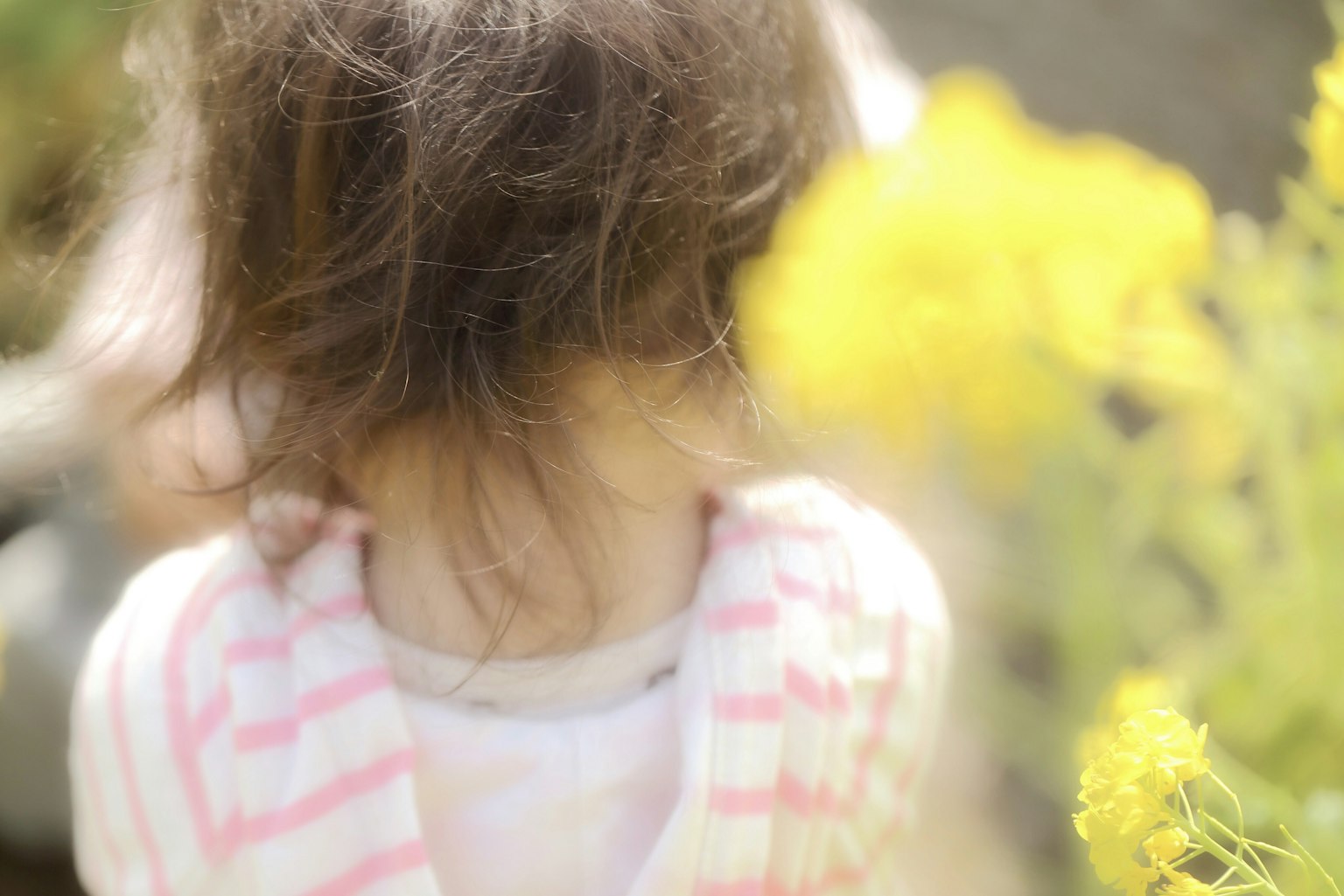 Schiena di un bambino circondata da fiori gialli
