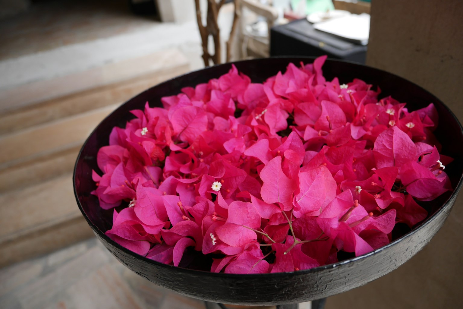 Eine Schüssel voller lebendiger pinkfarbener Bougainvillea-Blüten