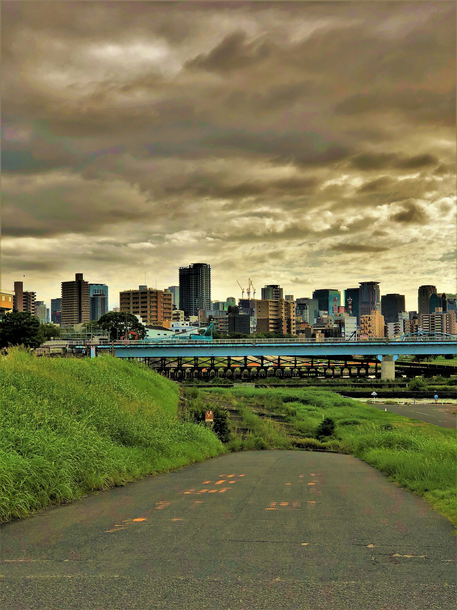Scenic view of a green path leading to a city skyline under a cloudy sky