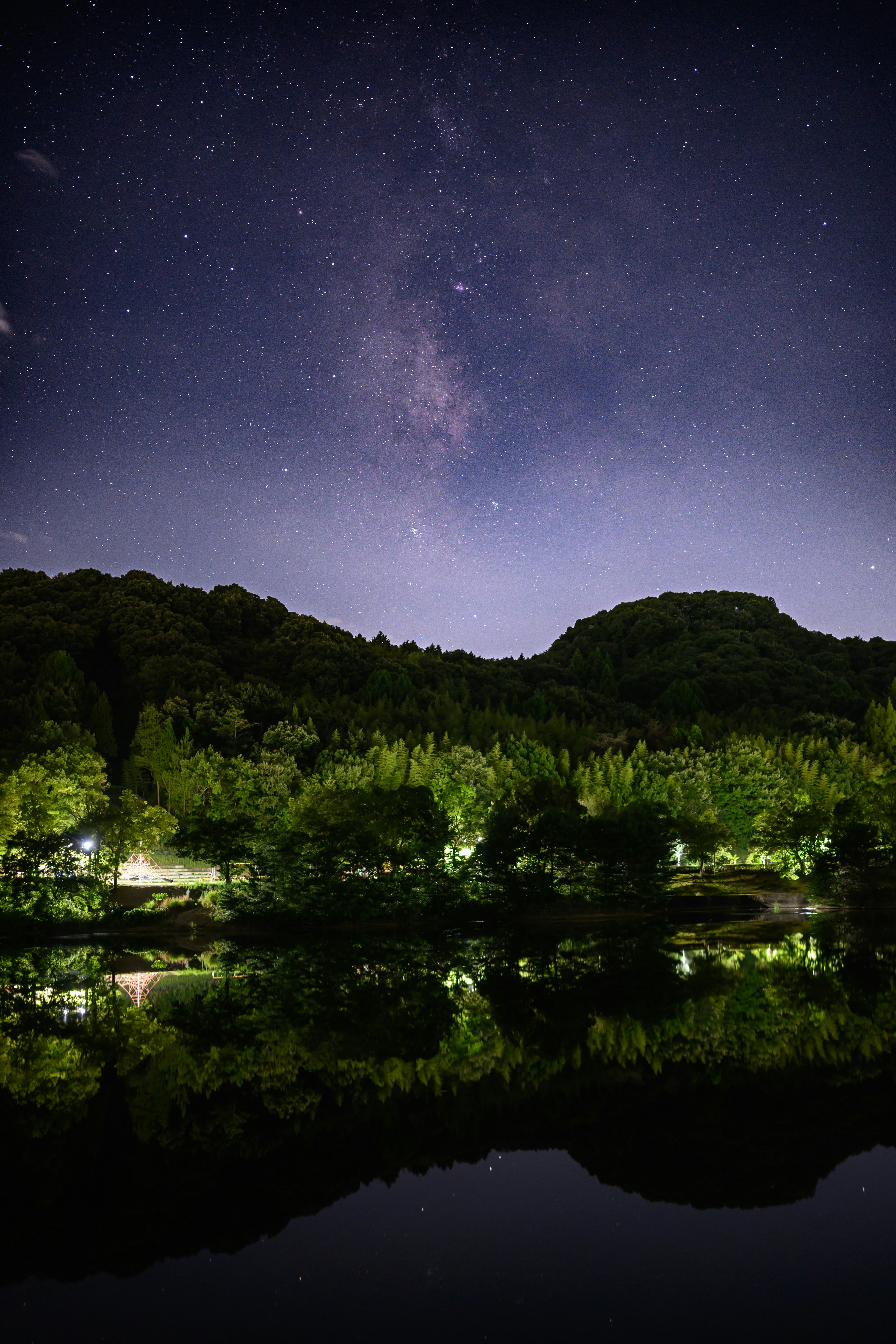 夜空に広がる天の川と森の湖畔の風景