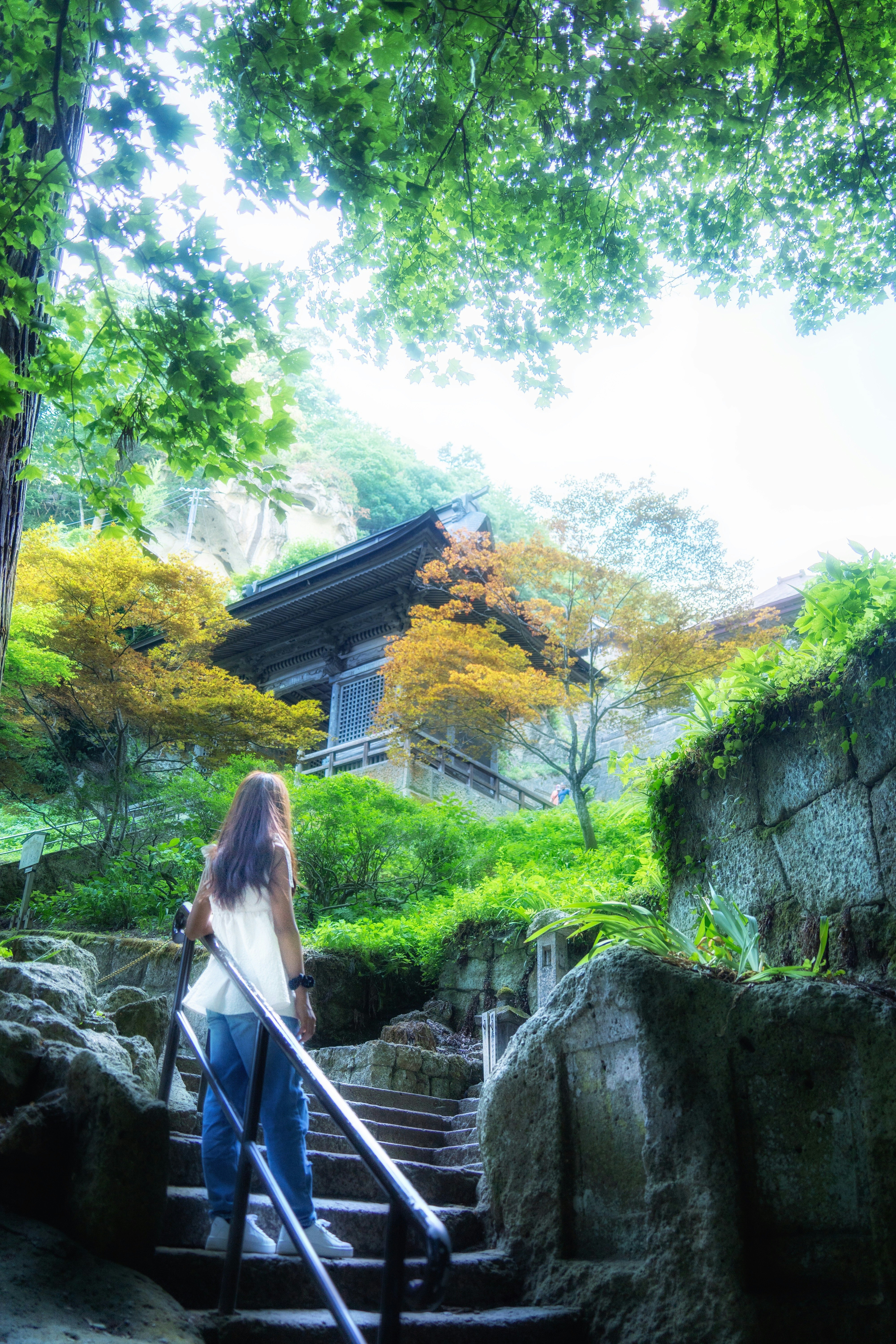 緑に囲まれた石段を歩く人物と寺院の建物