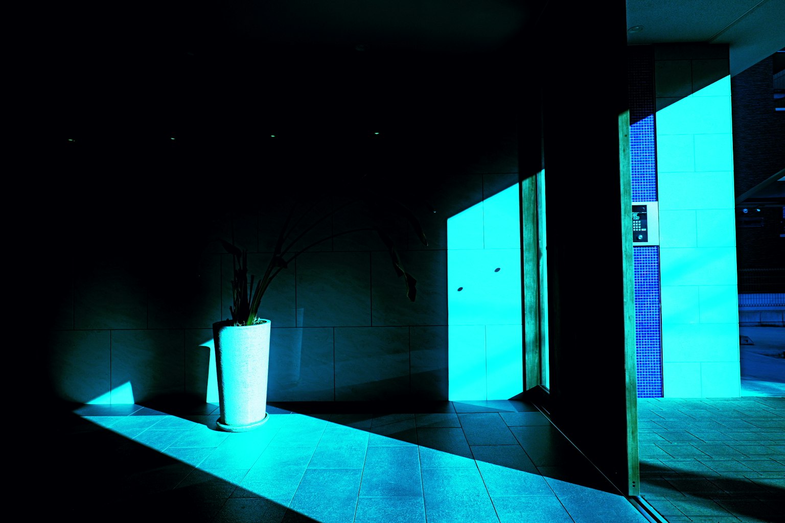 青い光が差し込む室内の風景 白い花瓶と影が印象的