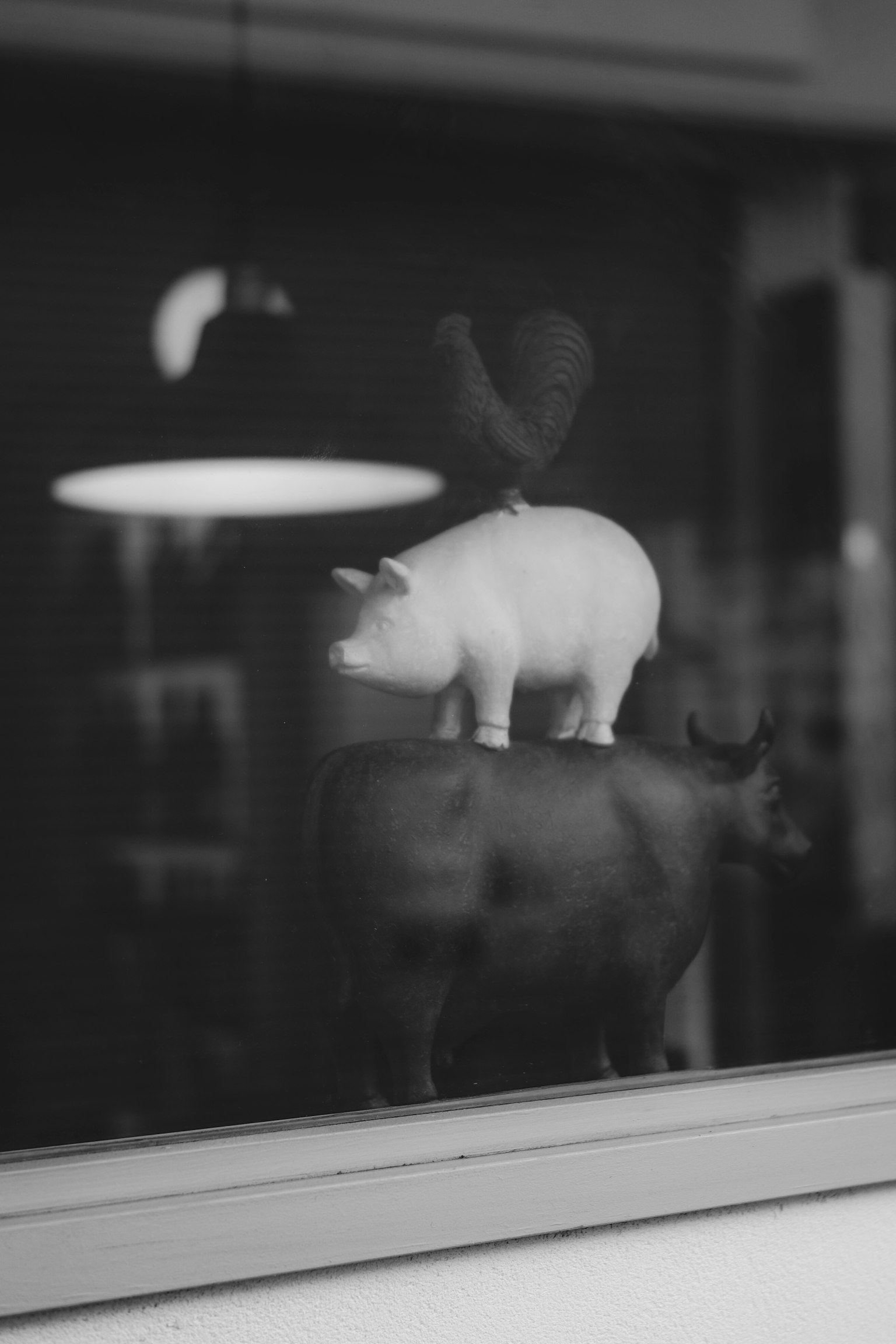 Ein einzigartiges Objekt mit einem weißen Schwein, das auf einer schwarzen Kuh steht