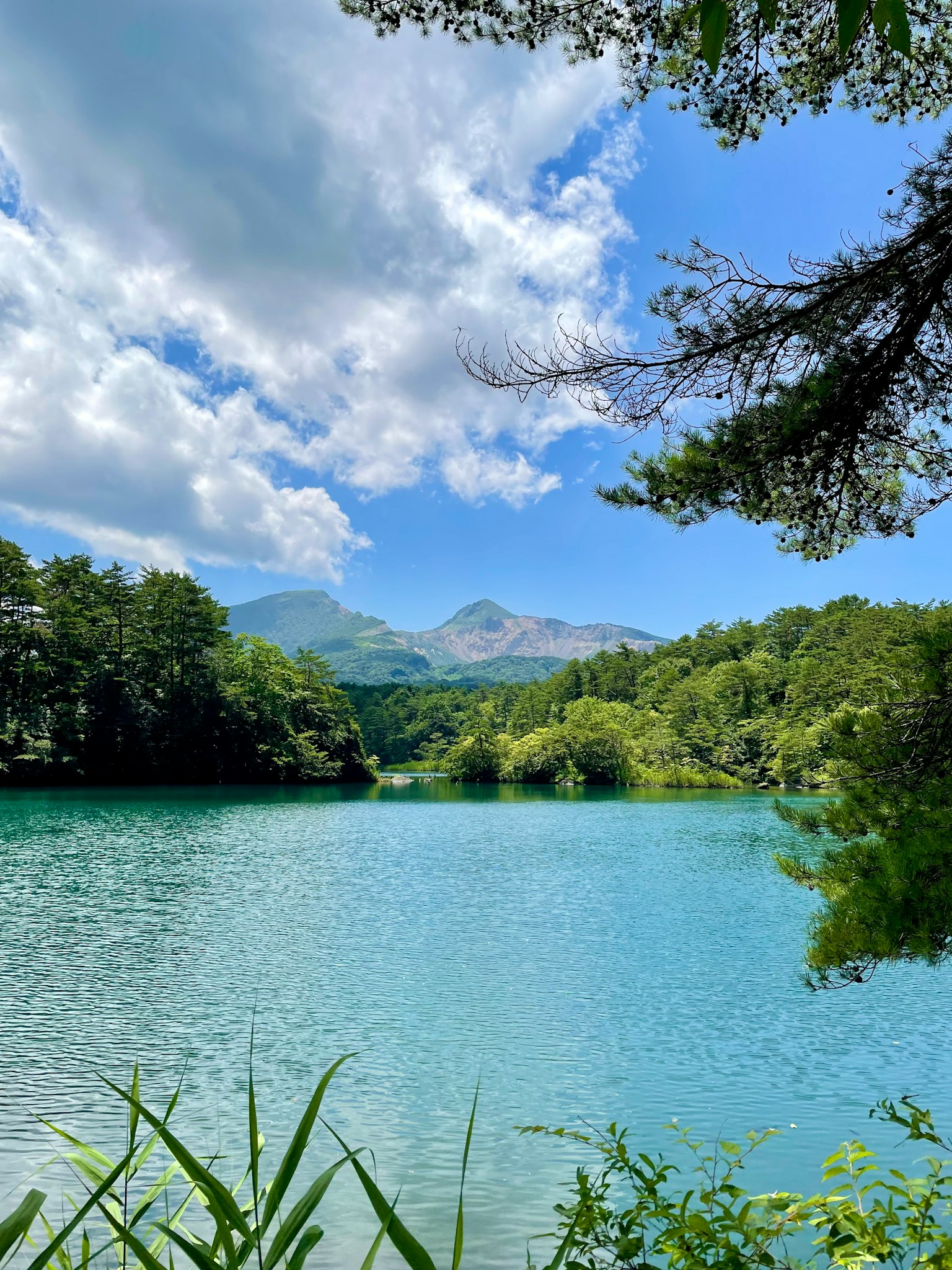 Vista panoramica di un lago turchese circondato da vegetazione lussureggiante e montagne