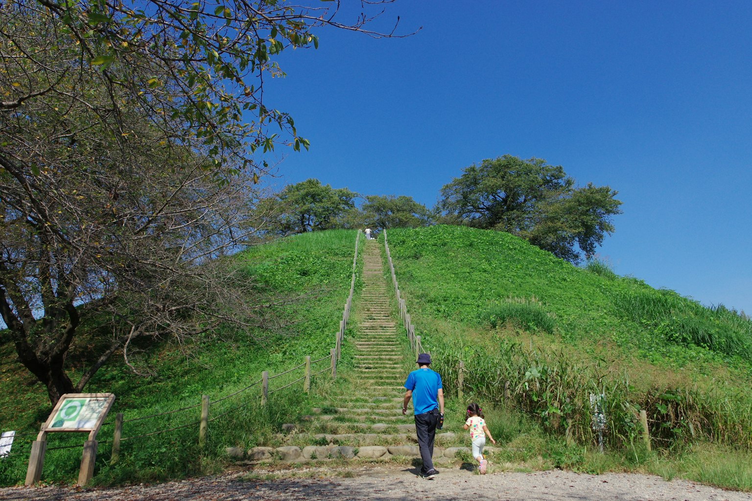 Un hombre y un perro subiendo escaleras en una colina verde bajo un cielo azul con árboles al fondo