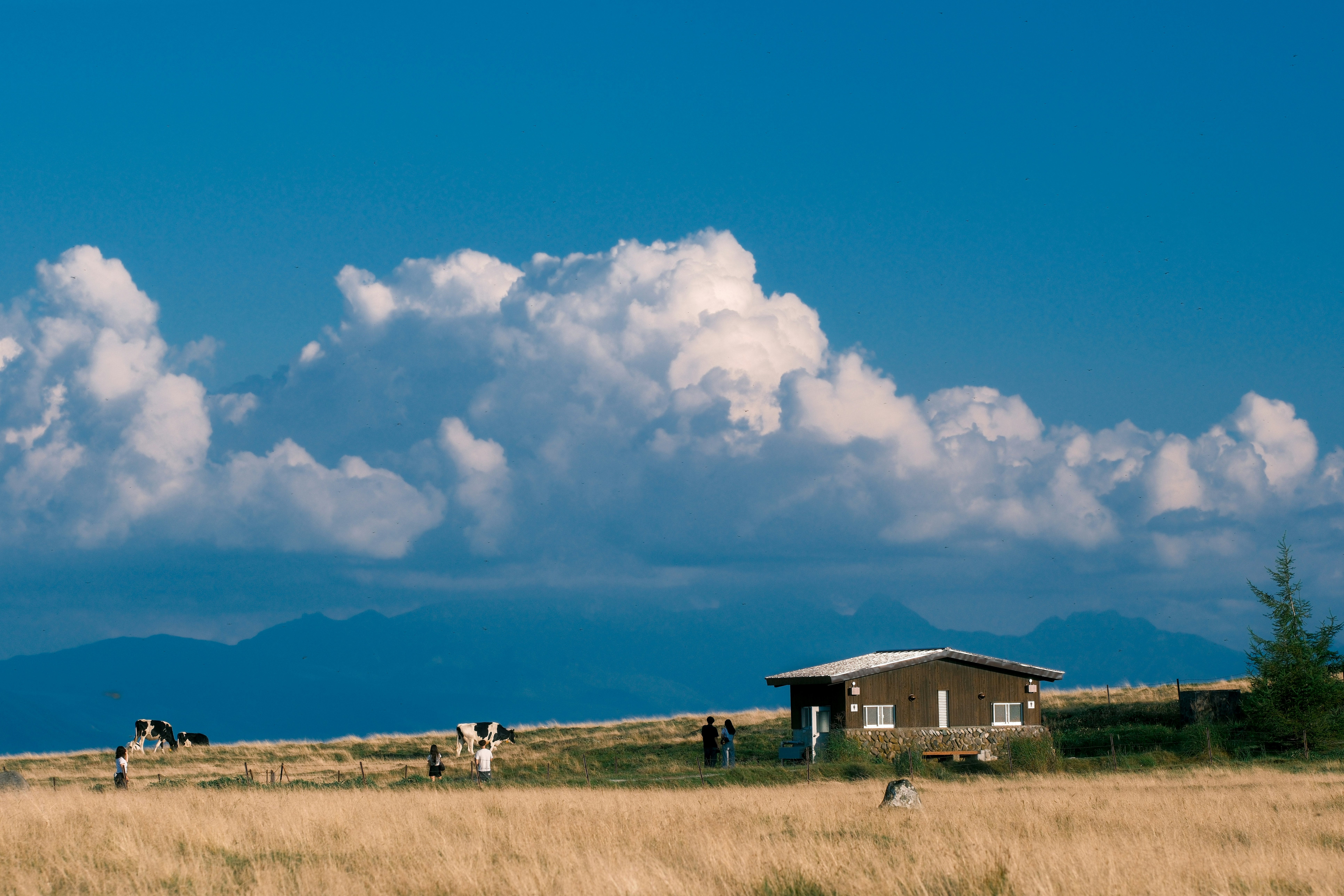 草原に建つ小屋と遠くの山並み、青空の雲