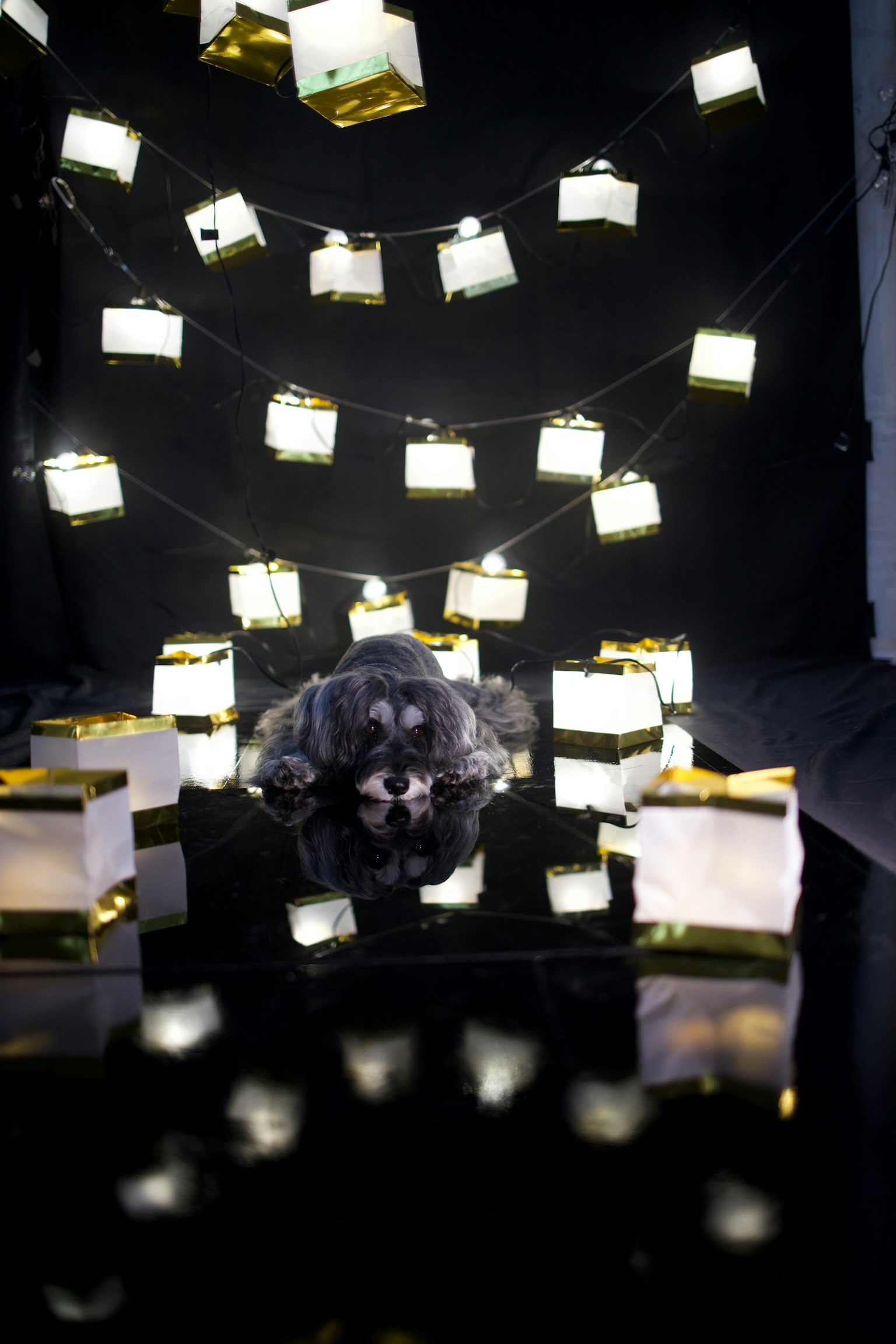 Lampions lumineux suspendus sur fond noir avec un petit objet sur une table réfléchissante