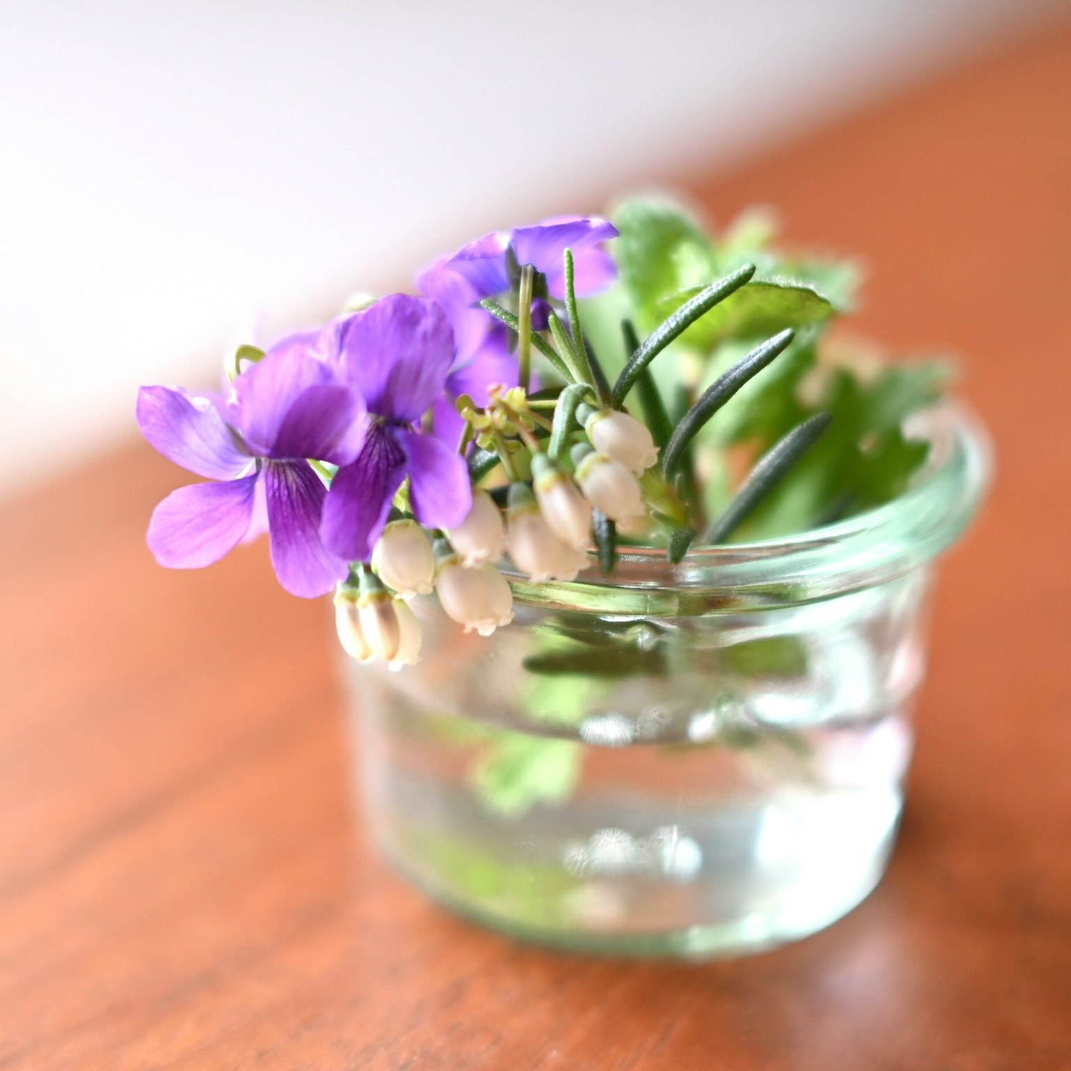 Un vaso di vetro con fiori viola e foglie verdi