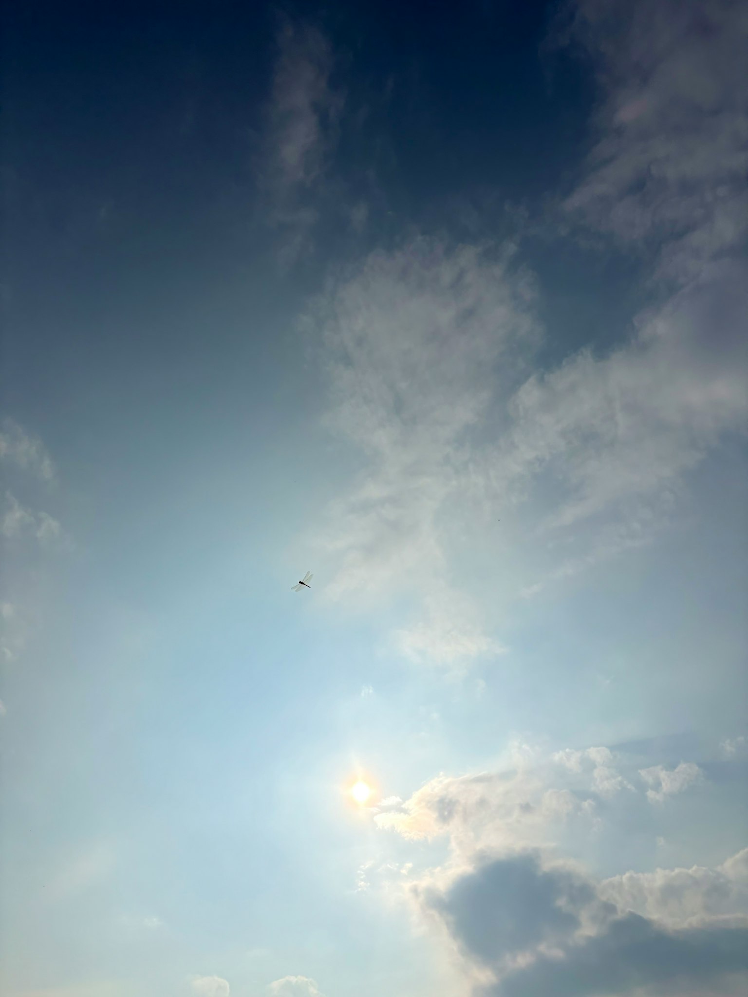 photo-kEsCTU2hYAhT0NTO8PKg-image