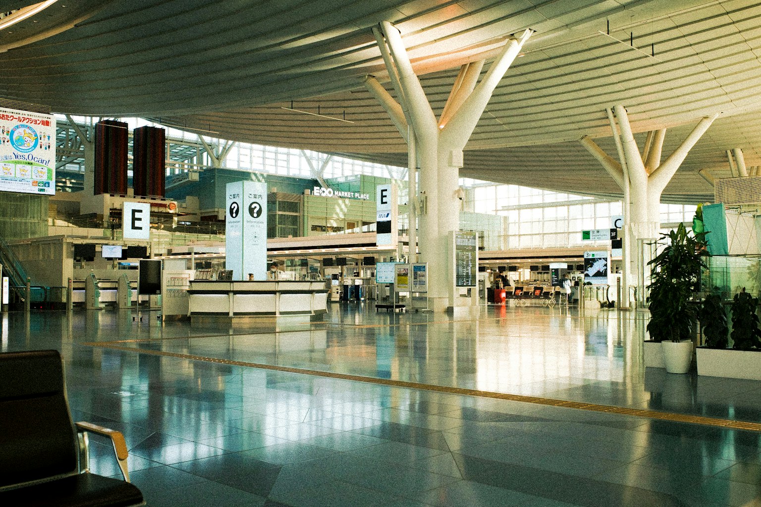 Interior espacioso de un aeropuerto con iluminación brillante y diseño moderno que incluye mostradores de check-in y área de espera