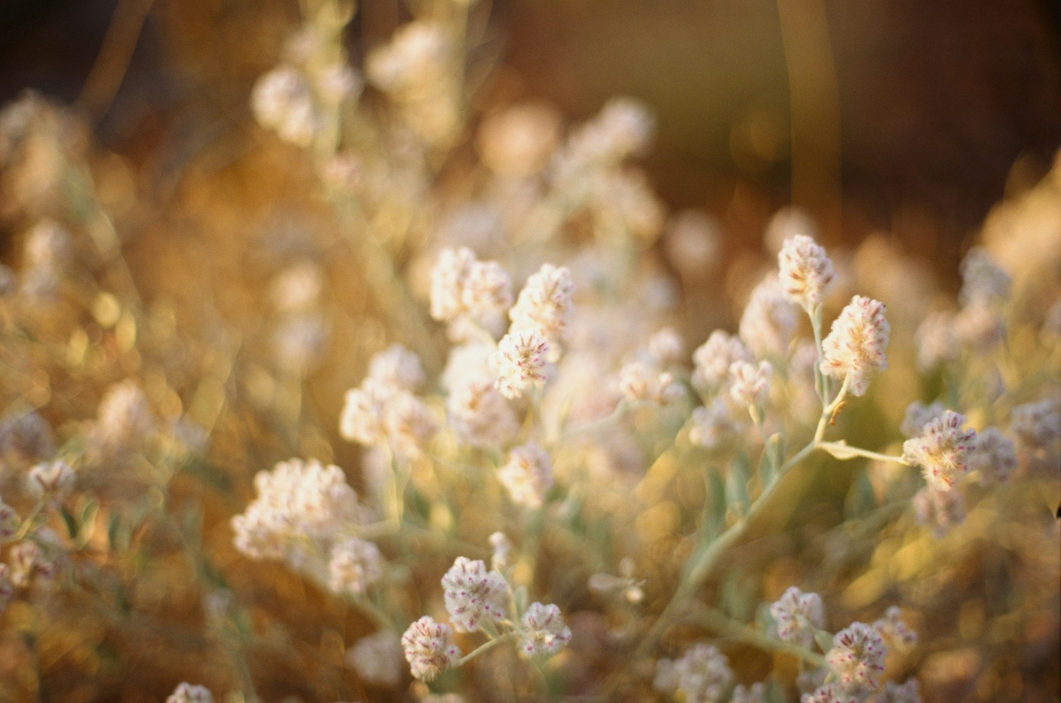 photo-kFErgERixNxovIGCe9wv-image