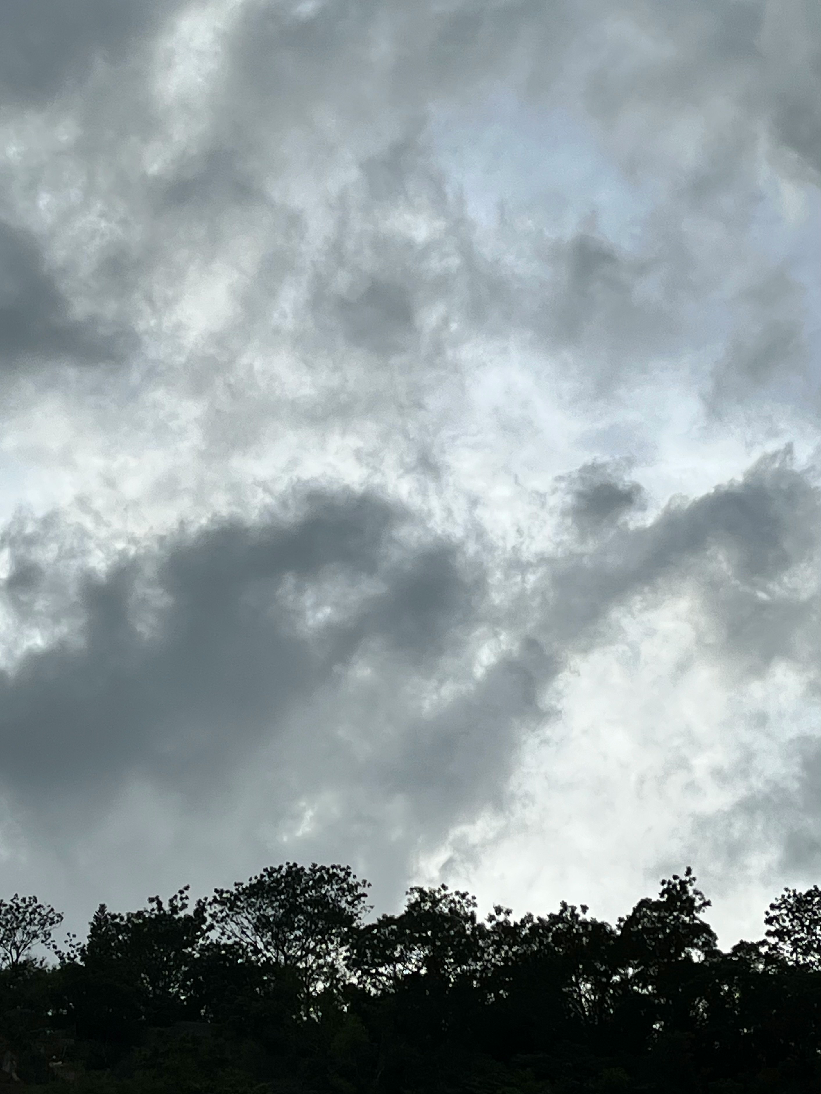 雲が広がる空と木々のシルエット