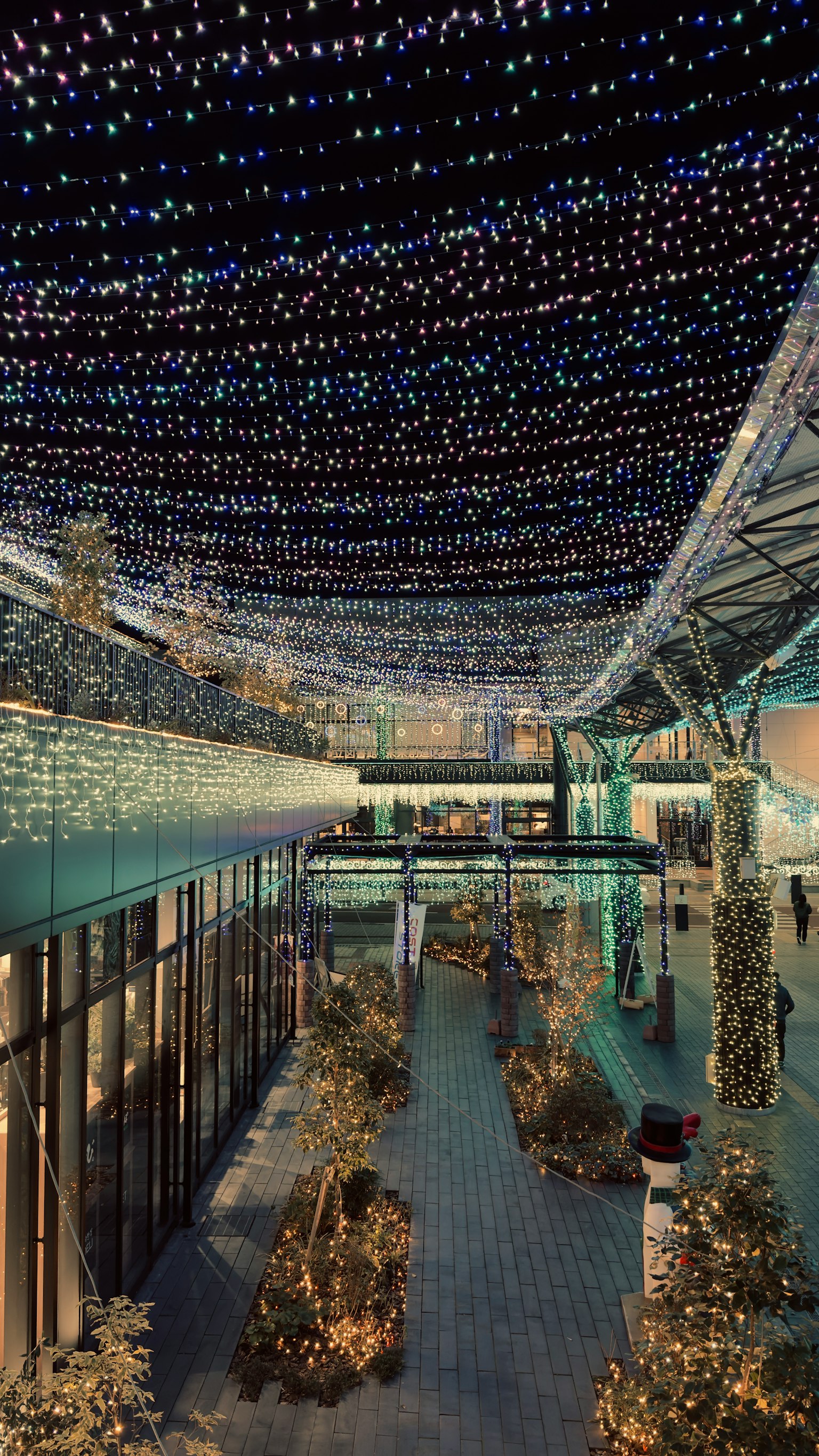 Indoor walkway adorned with beautiful illumination and greenery