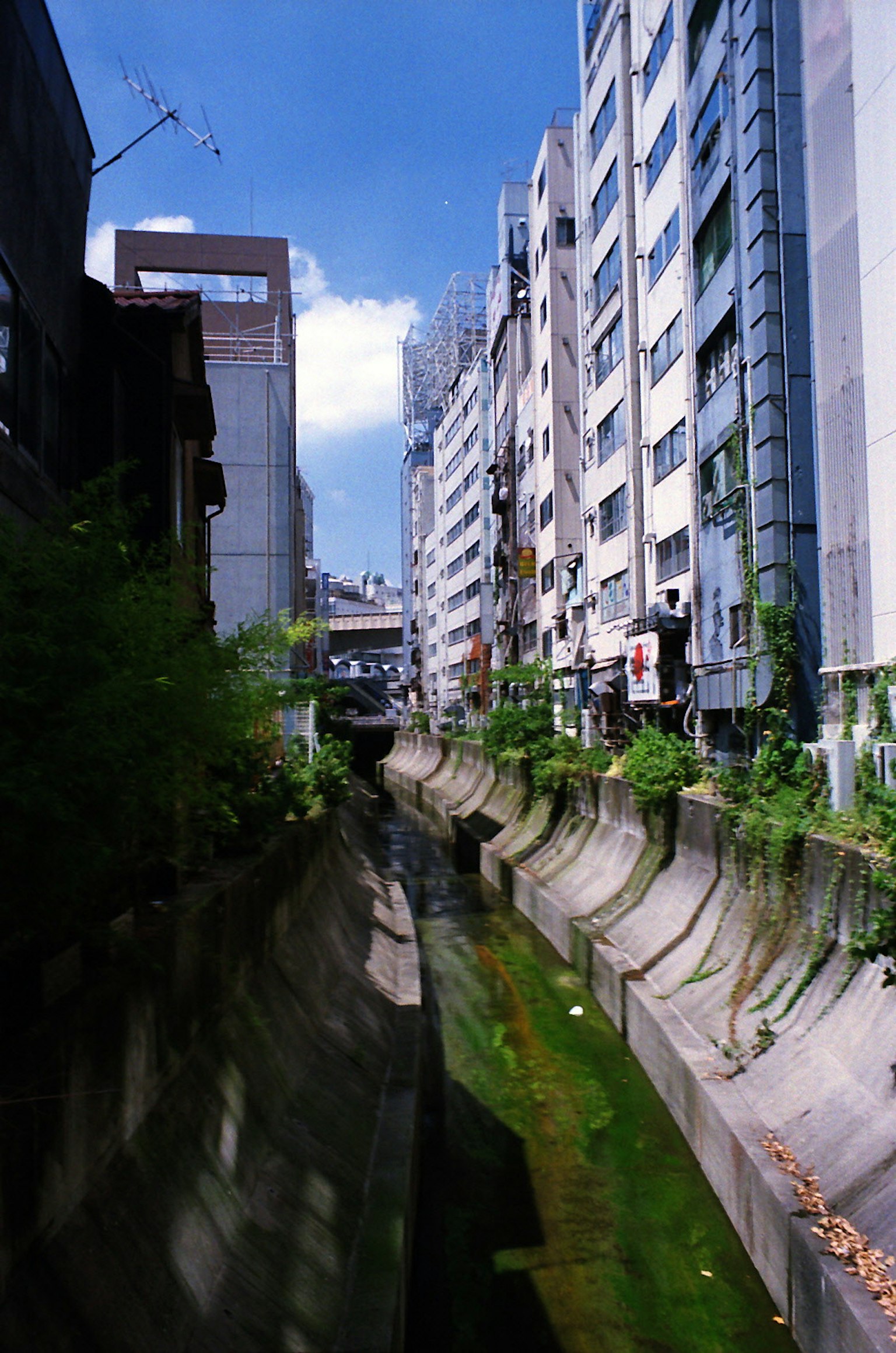 Vue d'un canal urbain avec de grands bâtiments et une végétation luxuriante