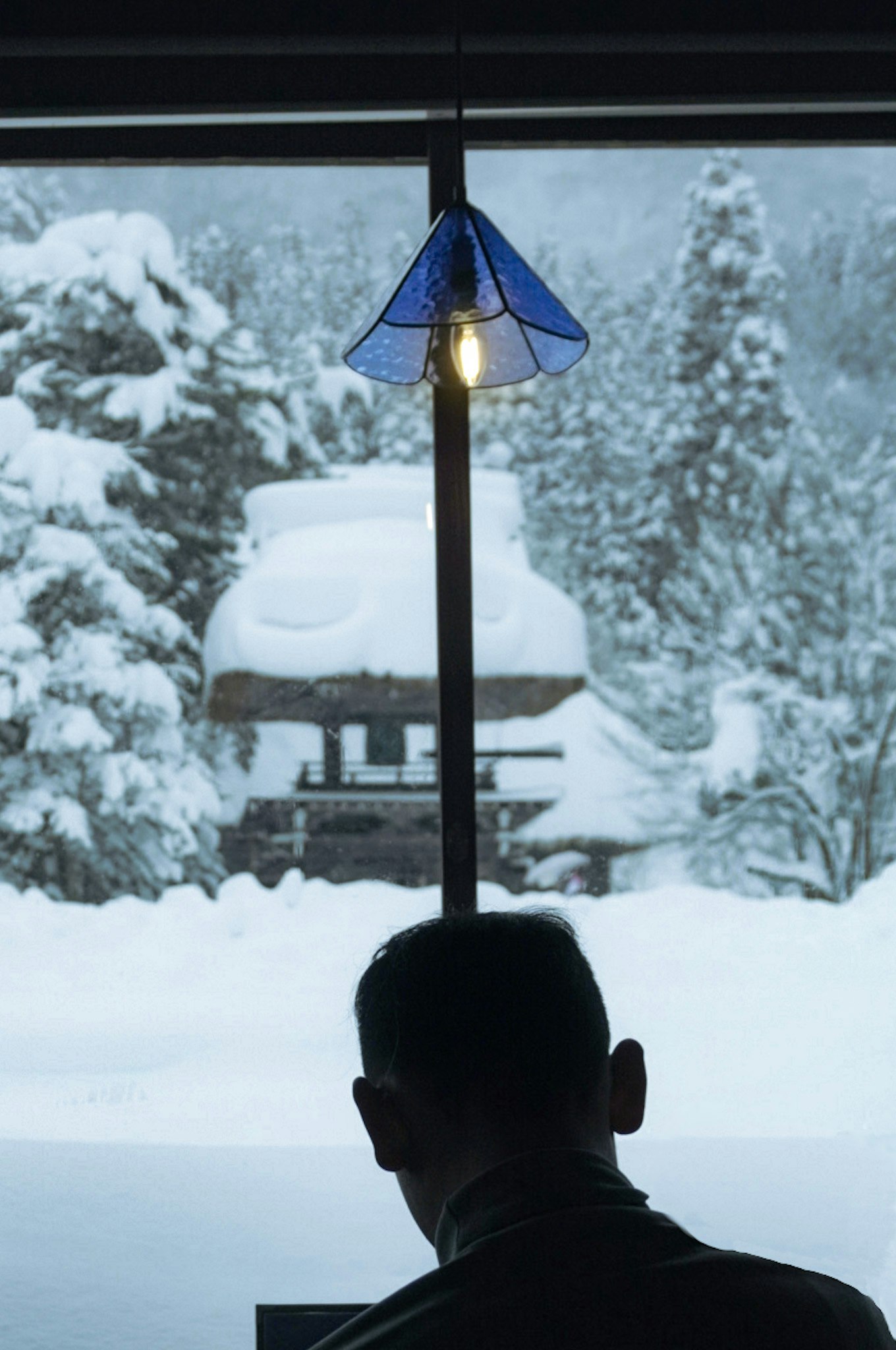 person in a cafe interior looking out at a snowy landscape