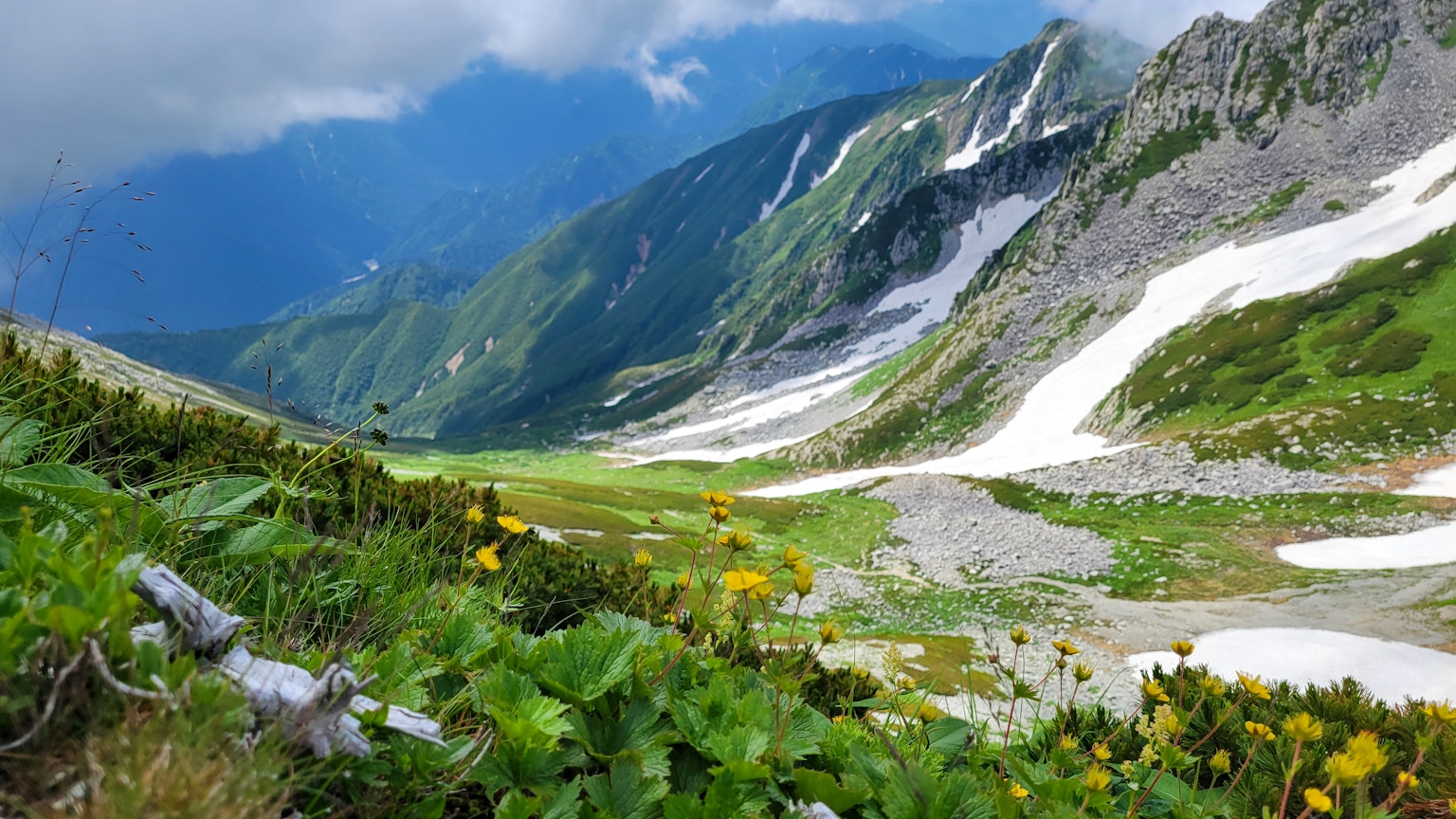 Bella valle verde con fiori gialli e montagne sullo sfondo