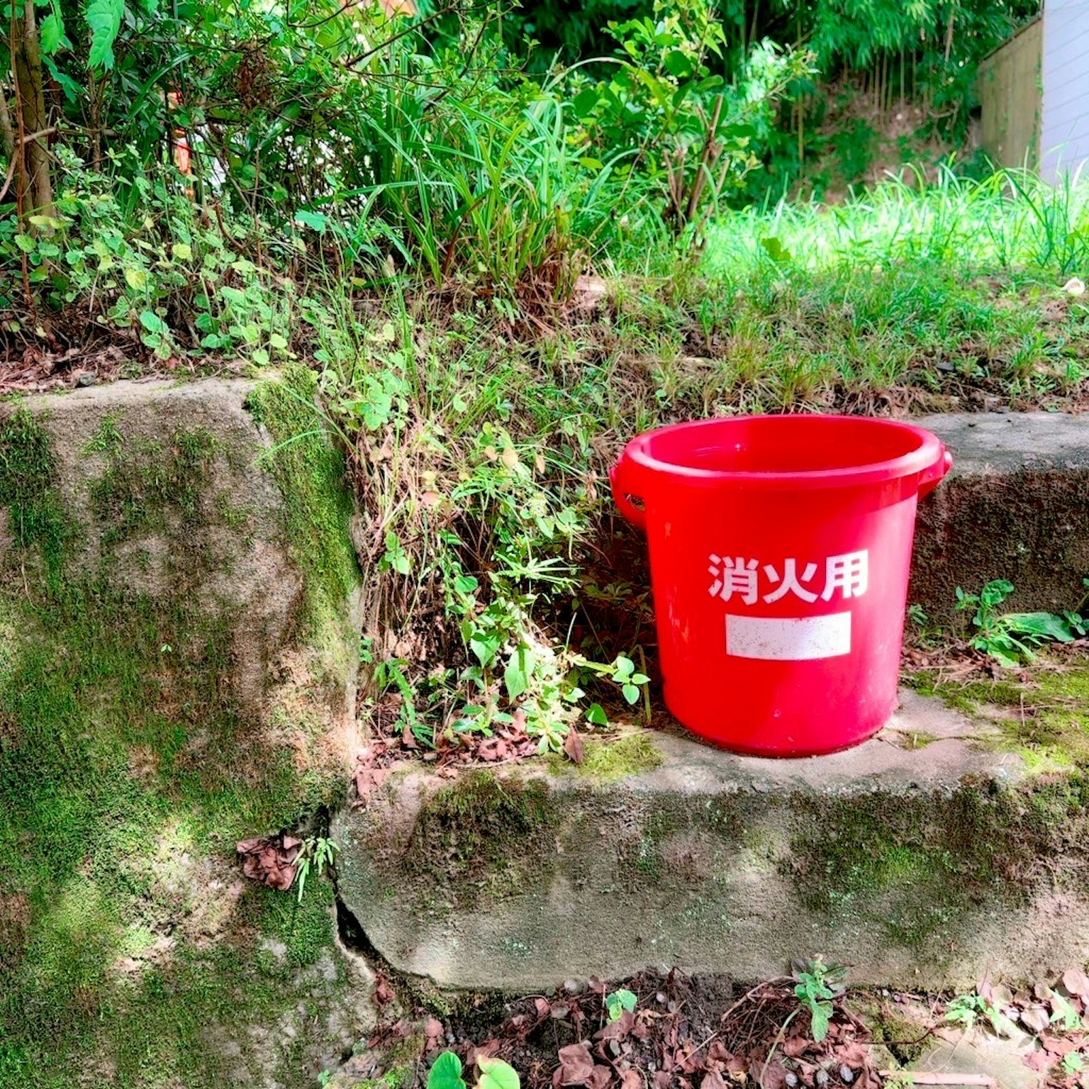 Seau rouge pour incendie entouré d'herbe