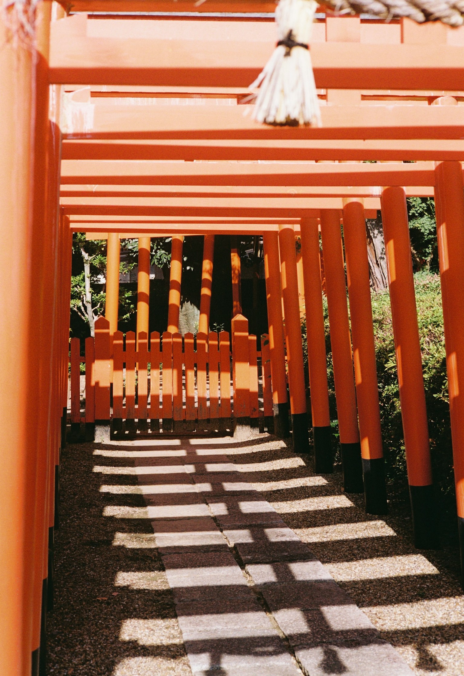 紅色鳥居之間的光影對比