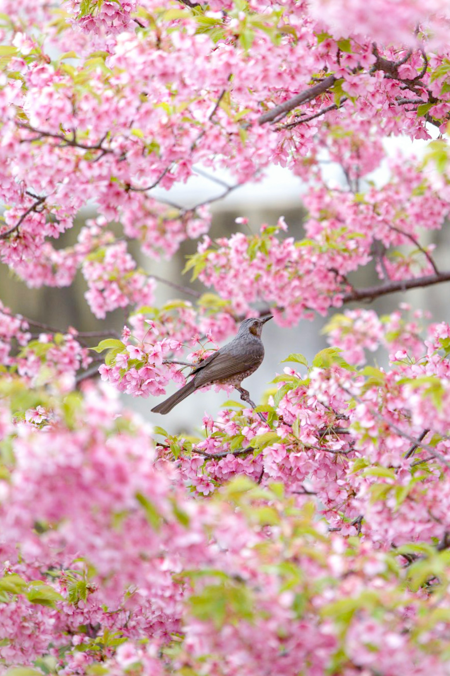 photo-kHMu0xlgWTqSm0TN4aj6-image