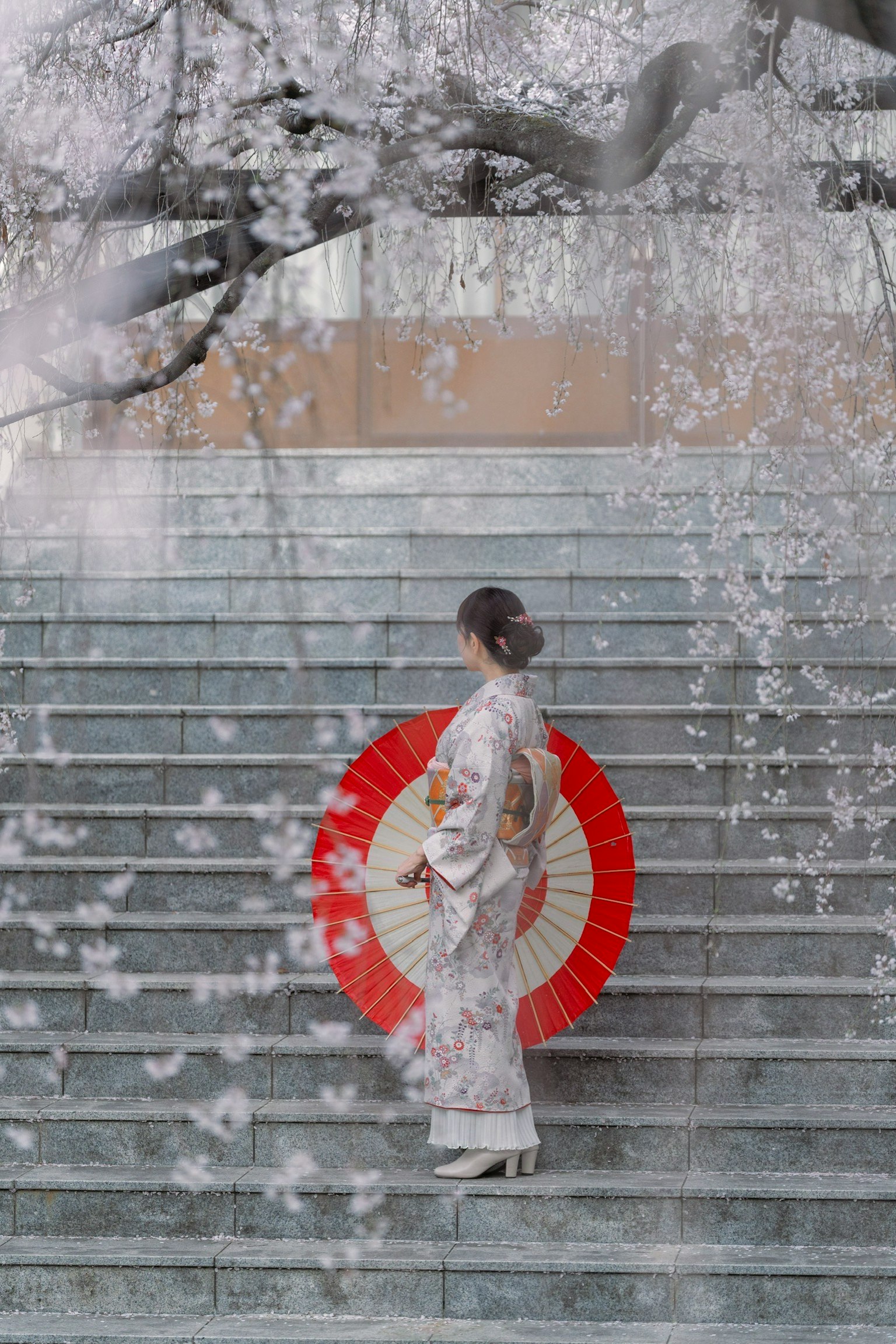Une femme en kimono blanc tient un parasol rouge debout sur des escaliers sous des cerisiers en fleurs