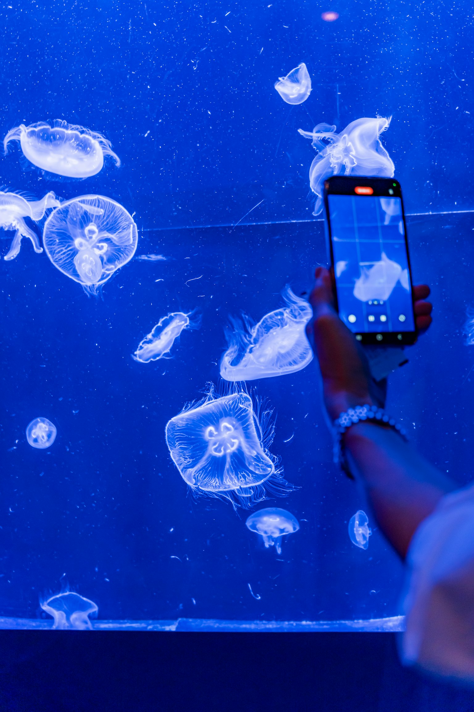 photo-kHqOIy4ldOwgPV5gBMHF-image