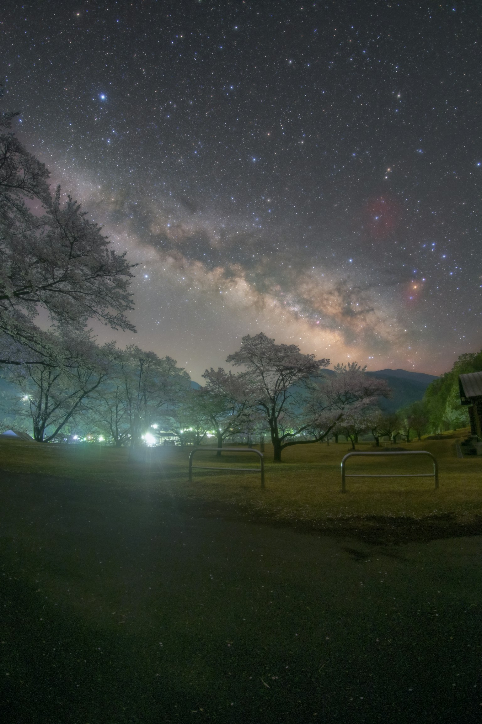 星空中的銀河和樹木輪廓