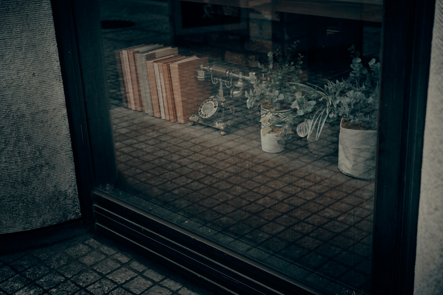 photo-kIJDfrX9XfBp5uyTa0fz-image