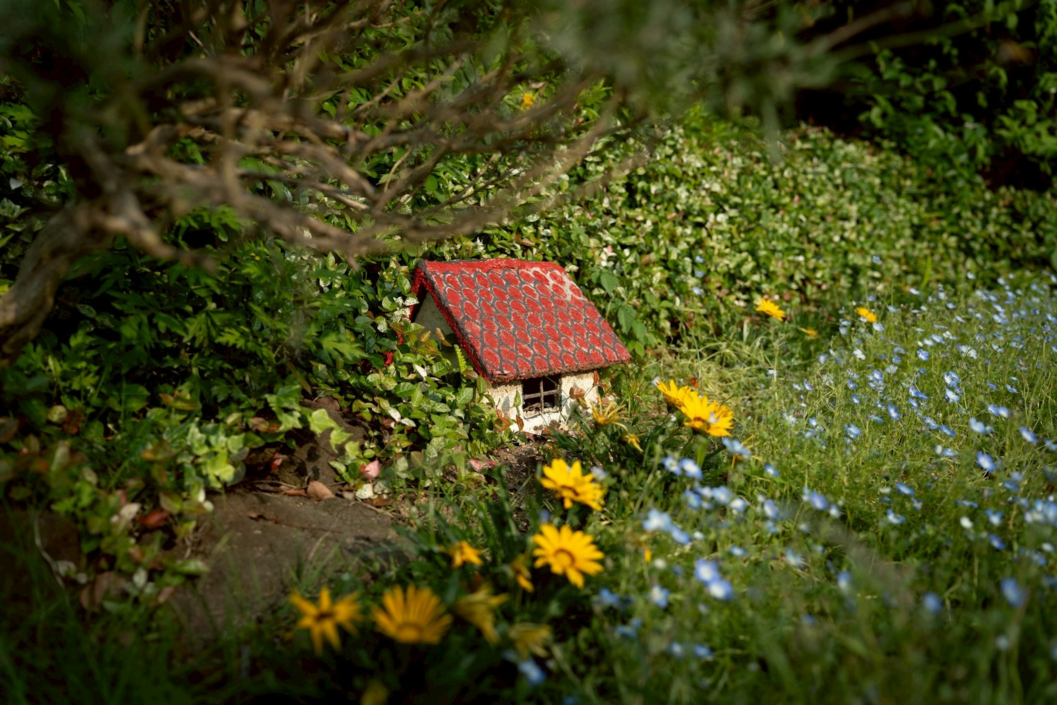 photo-kIPU4VBLfGP9mk66GtWK-image