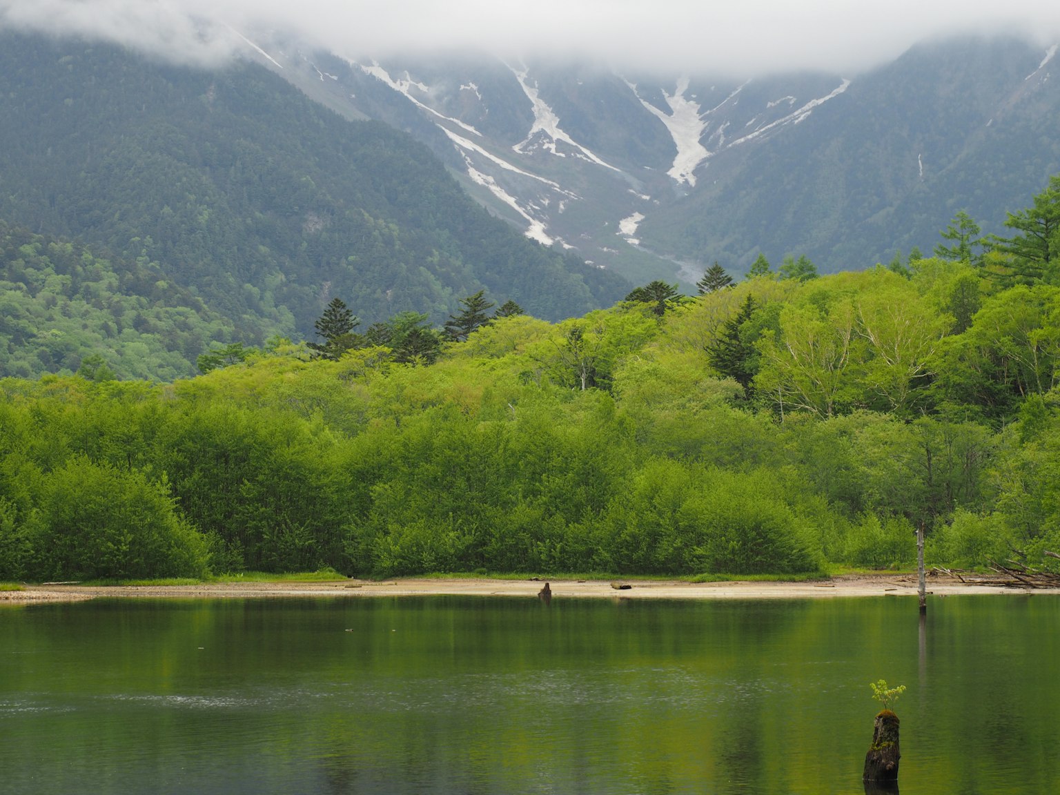 Paisaje sereno de lago con montañas verdes y picos nevados