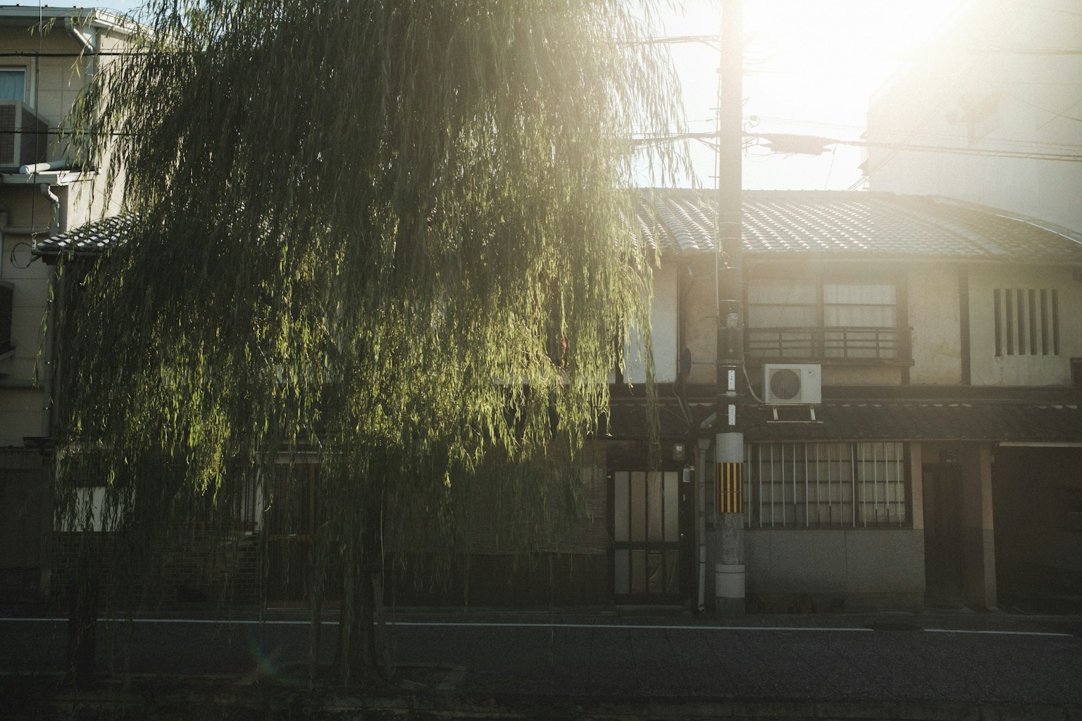 Sonnenbeschienenes traditionelles japanisches Haus mit einer Weide