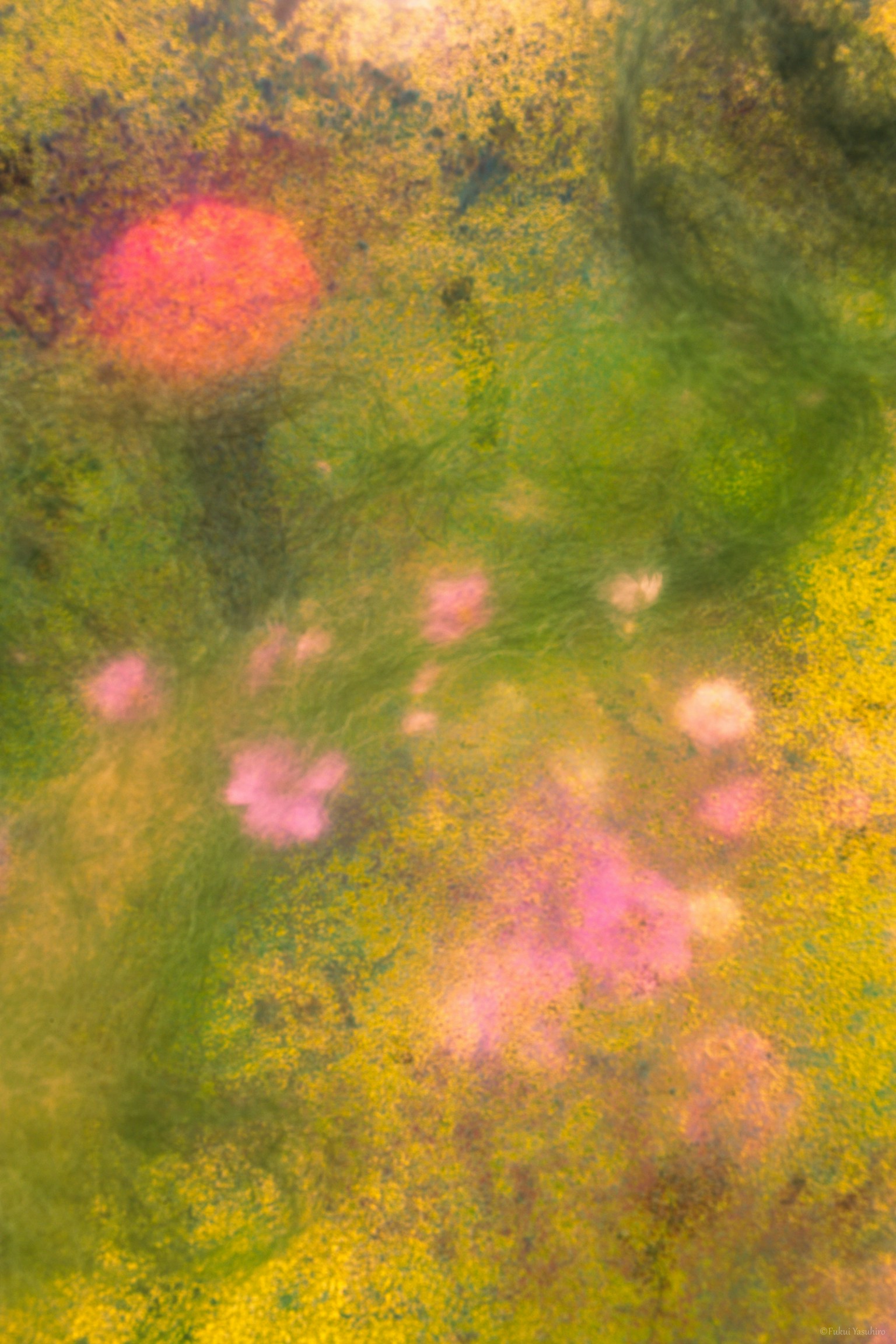 photo-kJCBNonVkNFysxCLFmqM-image