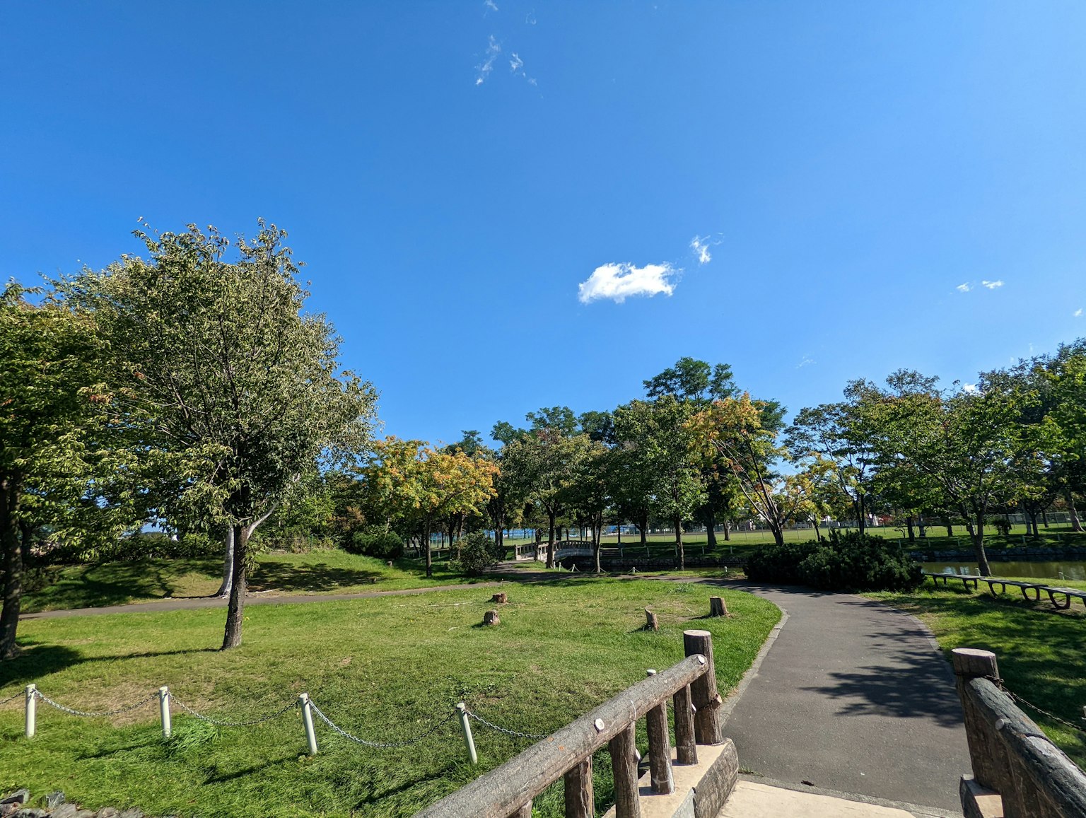 Malersicher Blick auf einen üppigen Park unter blauem Himmel von einer Brücke aus