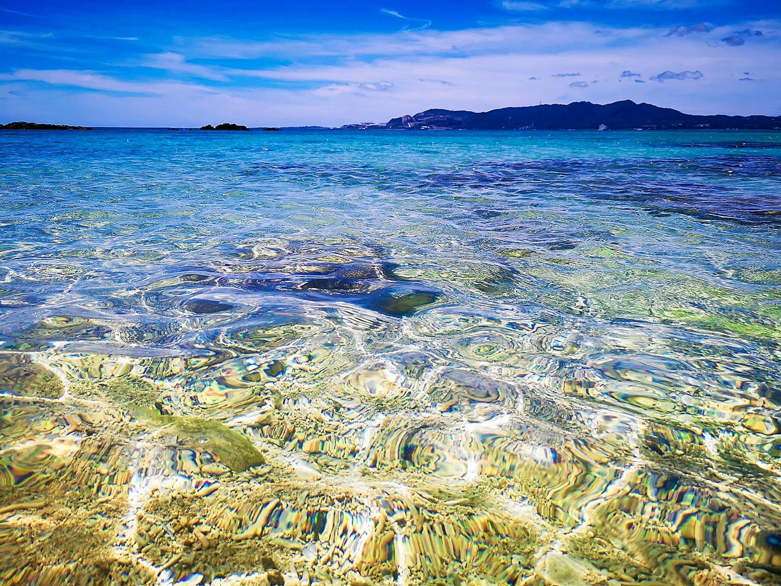 清澈的海水展现生动的水下景观
