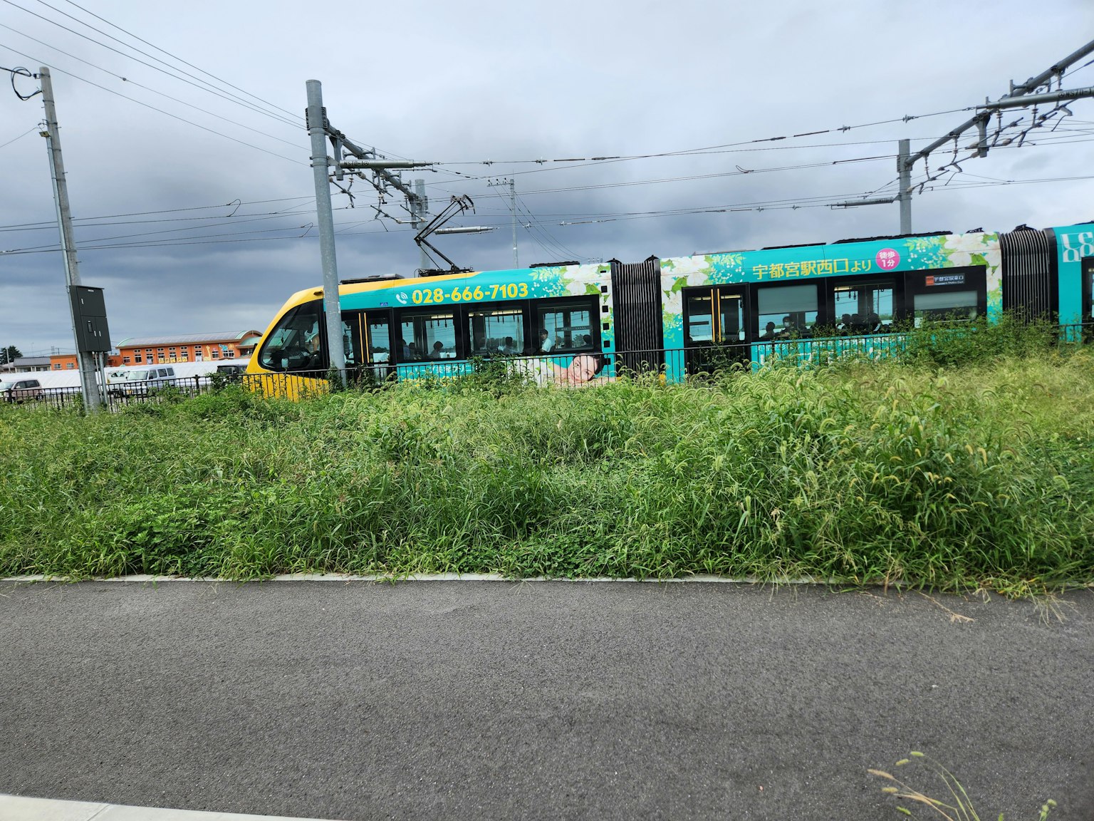 Train coloré entouré d'herbe verte dans un cadre nuageux