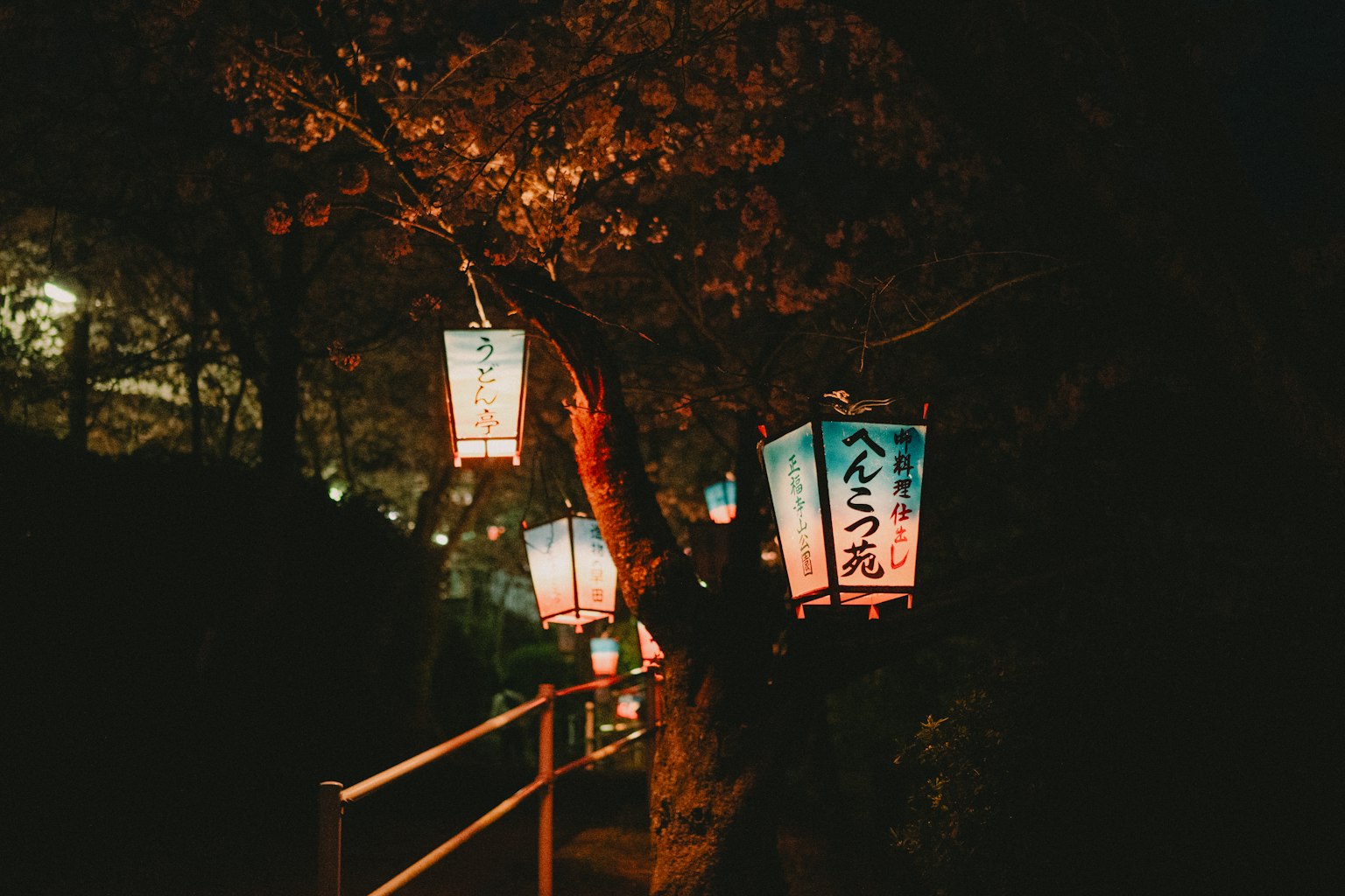 Lampion yang diterangi tergantung di taman di malam hari