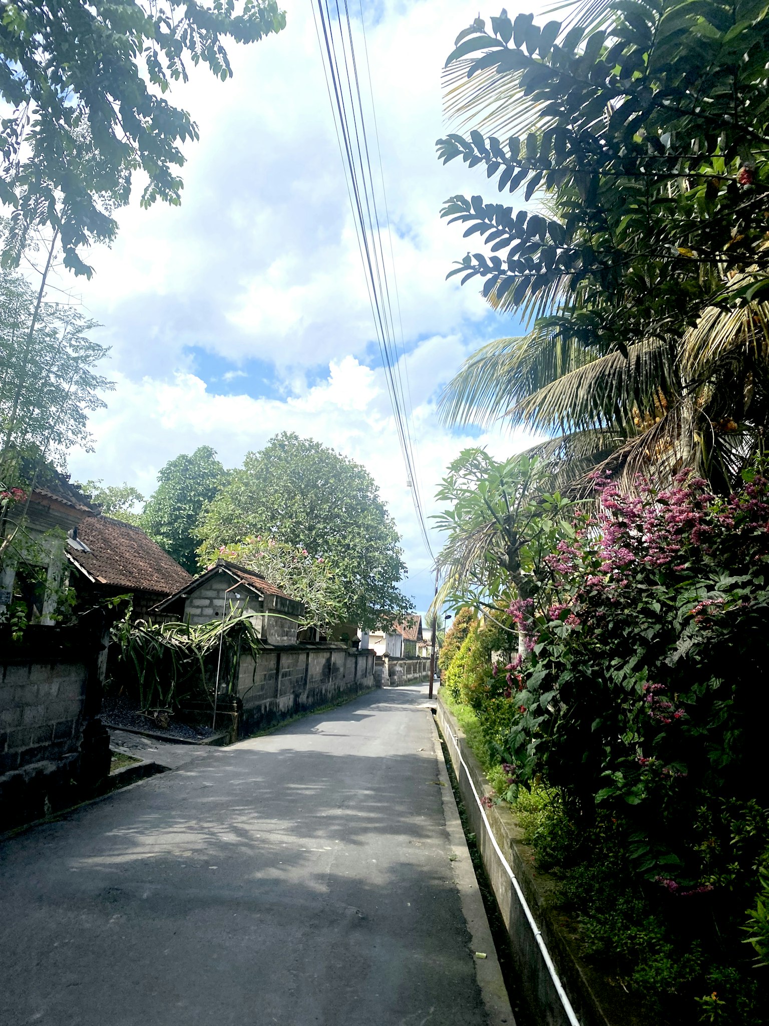 Una pintoresca calle de un pueblo bordeada de vegetación exuberante y flores en flor