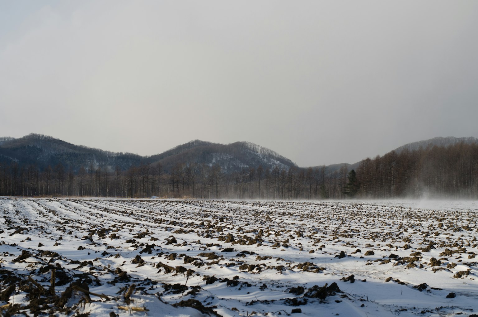 Winterlandschaft mit schneebedecktem Feld und Bergen