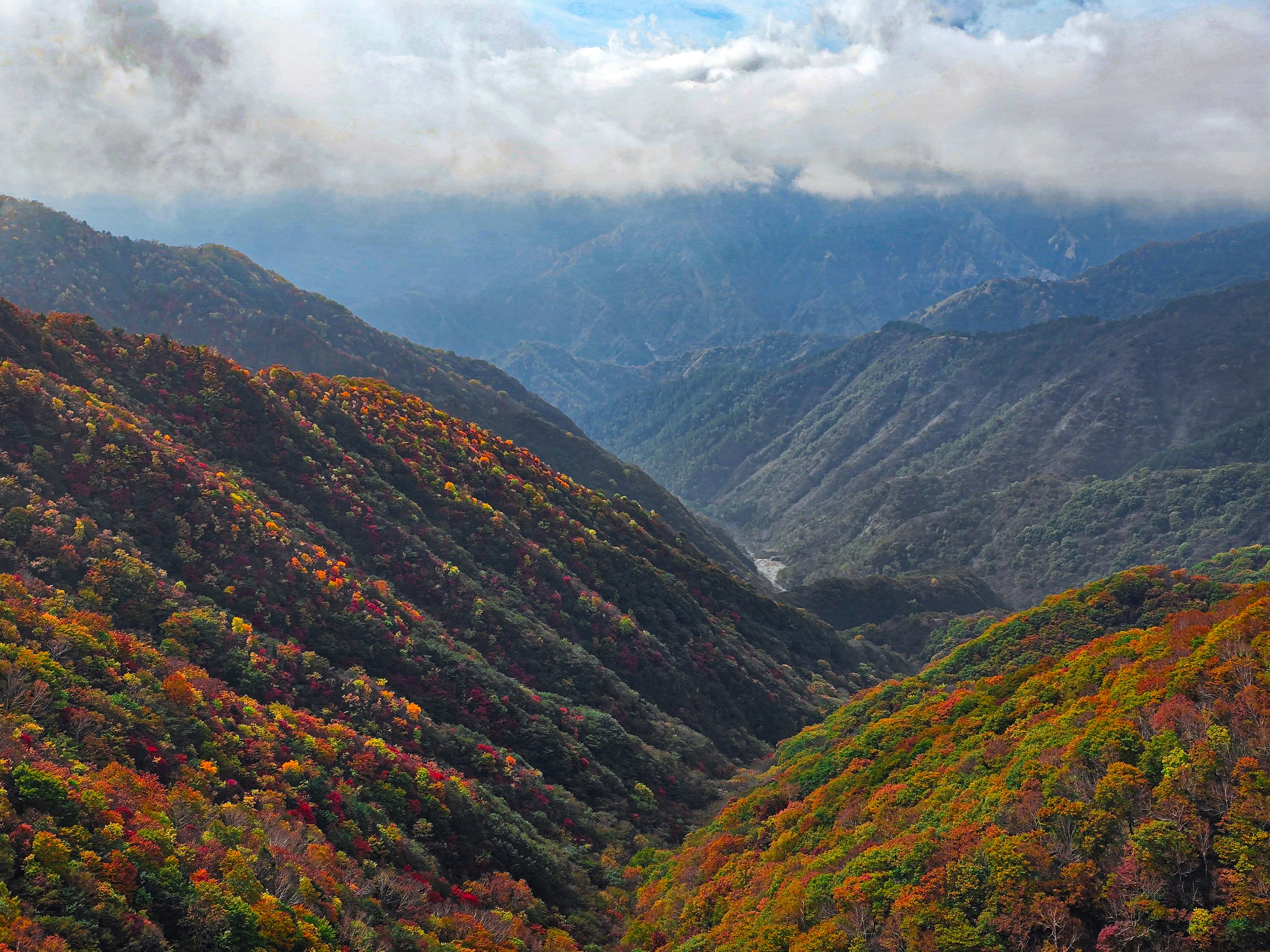 紅葉の山あいに広がる渓谷の景色