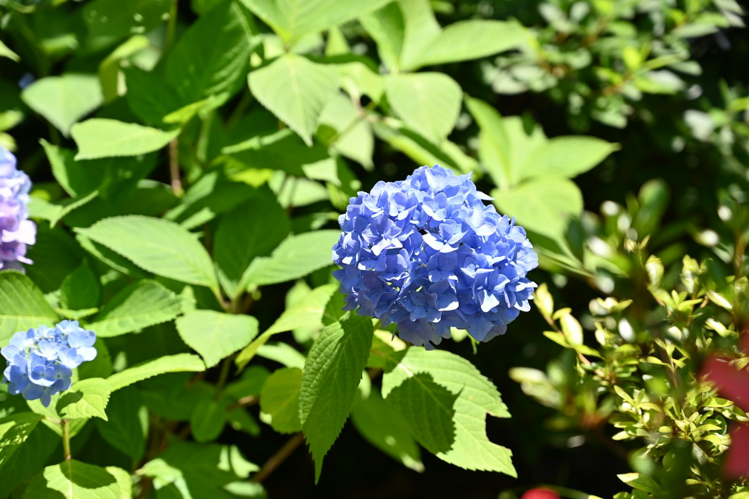 photo-kLWmaQWmLcdQVQGM8njJ-image